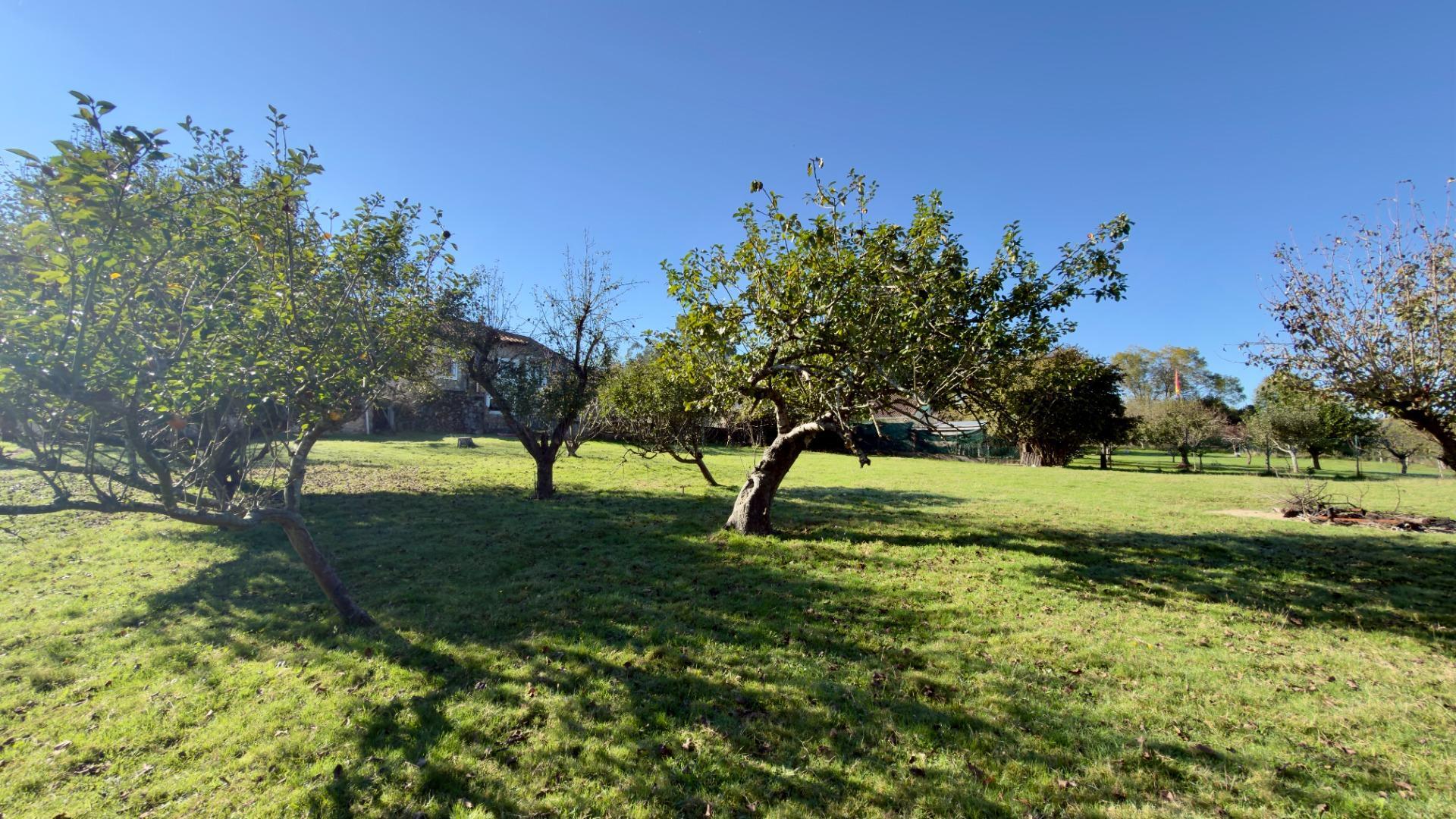 Pisos-Venta-Villaescusa-2441236-Foto-35