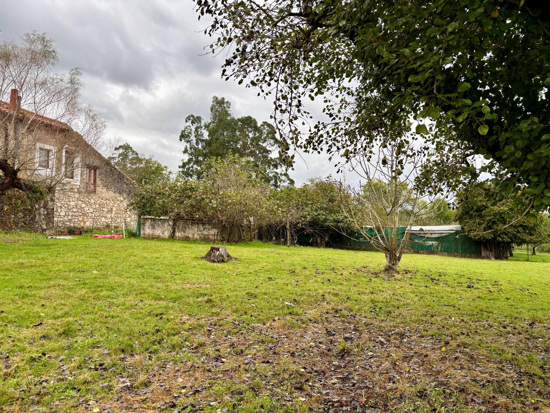Pisos-Venta-Villaescusa-2441236-Foto-38