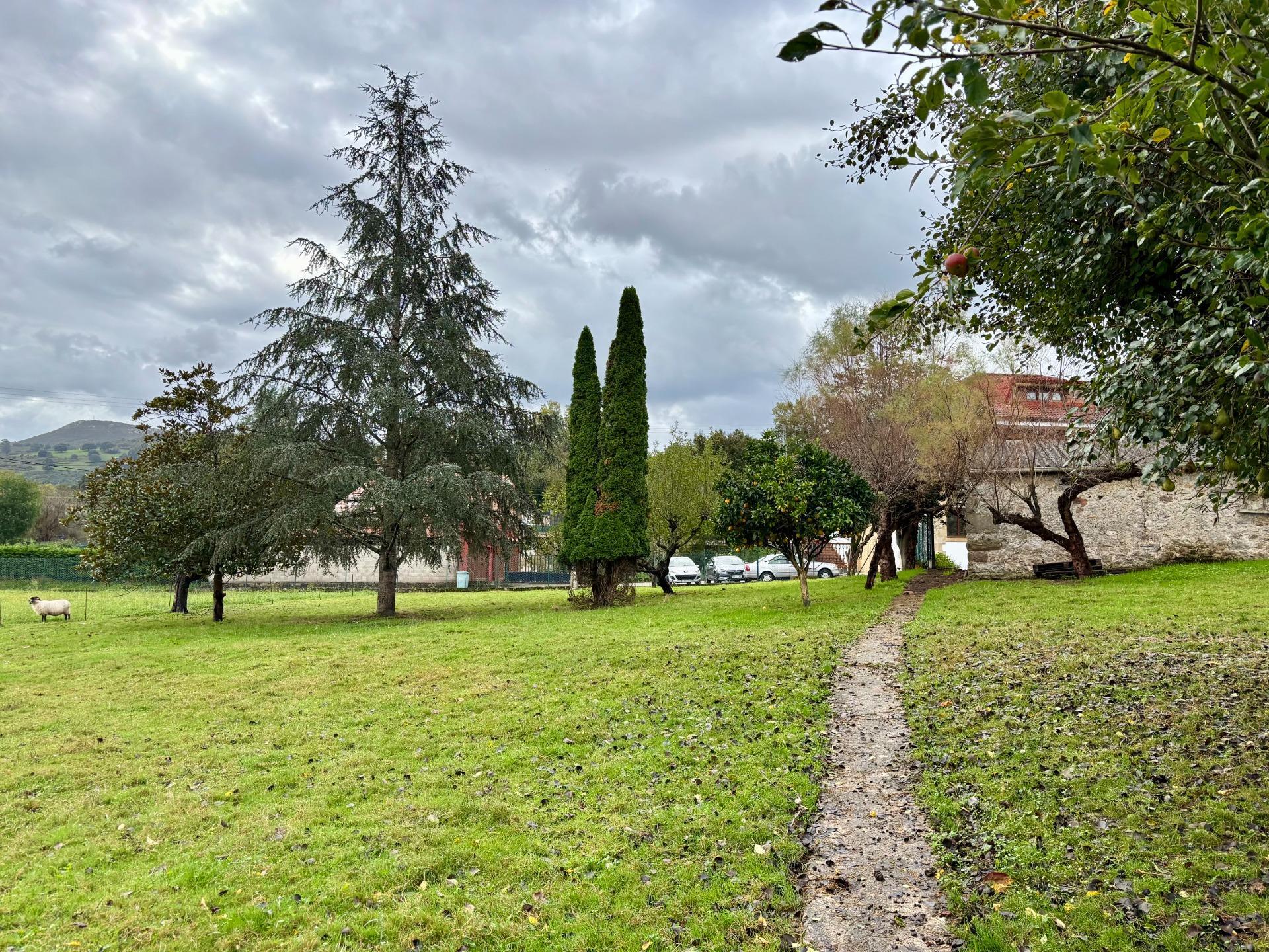 Pisos-Venta-Villaescusa-2441236-Foto-39
