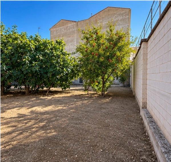 Fincas y solares-Venta-Zaragoza-2441260-Foto-7