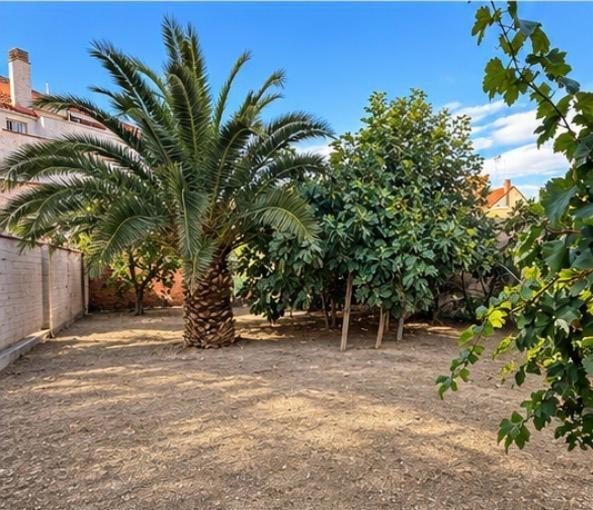 Fincas y solares-Venta-Zaragoza-2441260-Foto-8