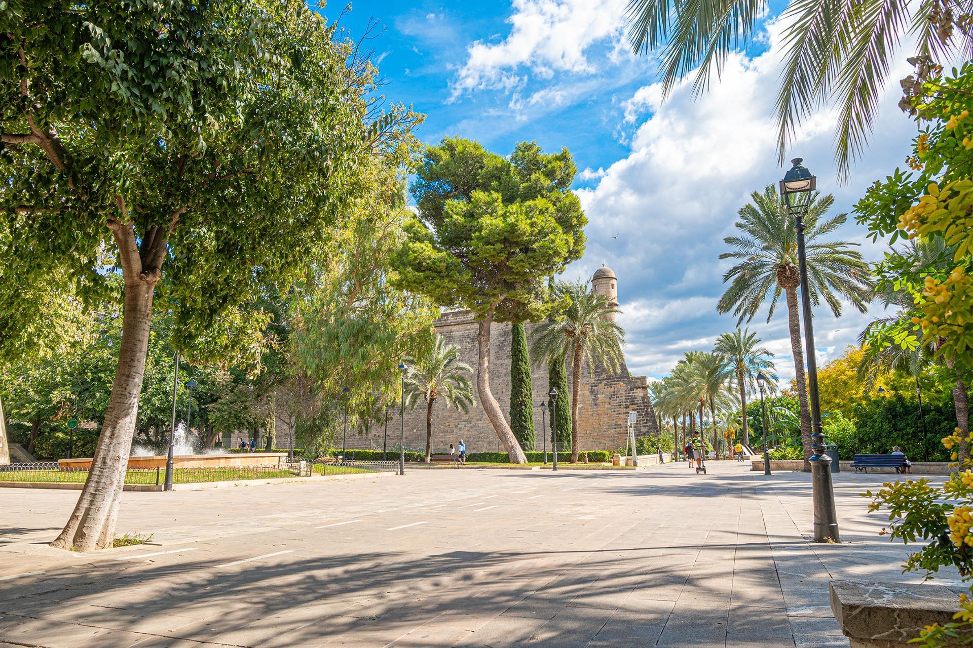 Negocios-Alquiler-Palma de Mallorca-2441284-Foto-4