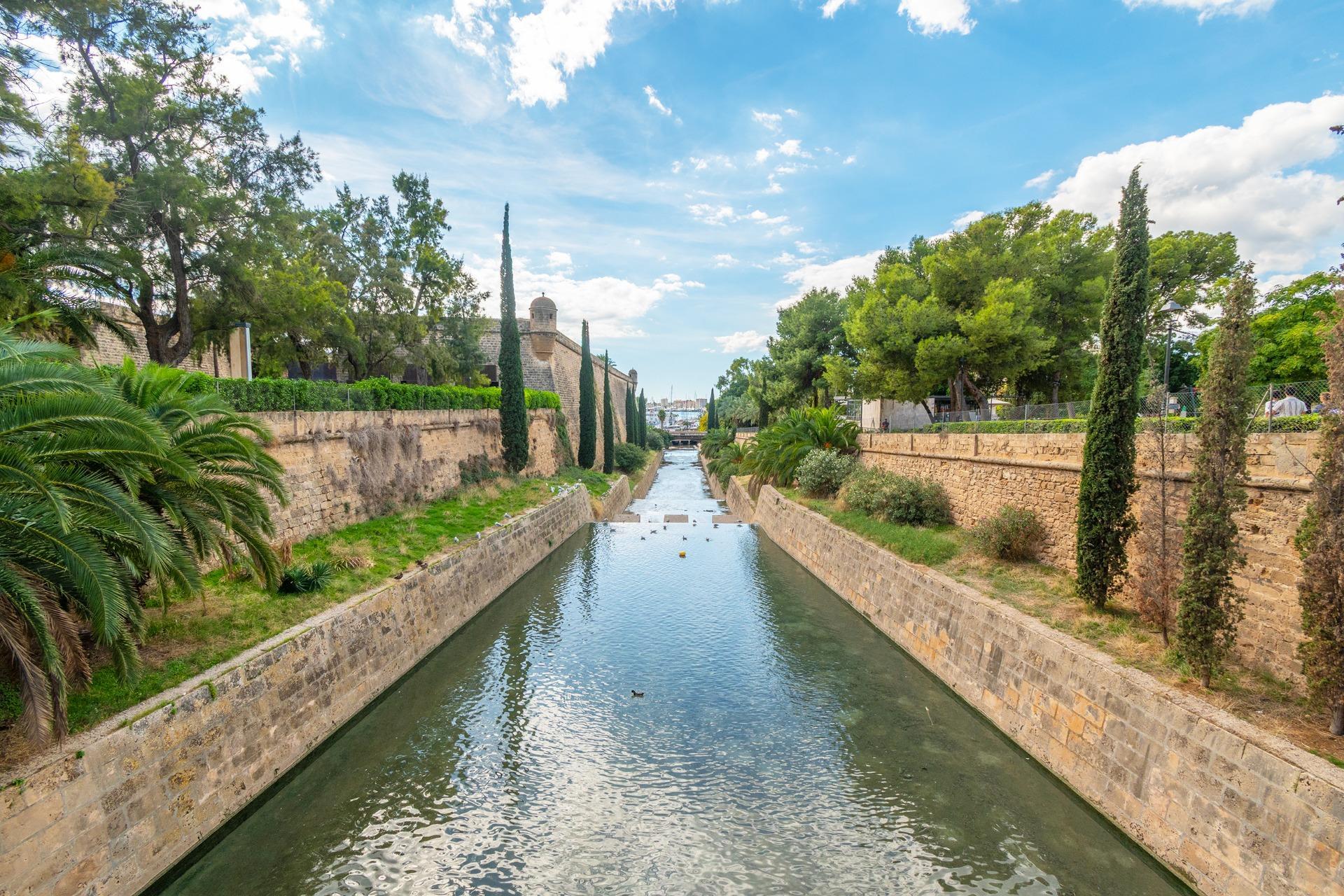 Negocios-Alquiler-Palma de Mallorca-2441284-Foto-7