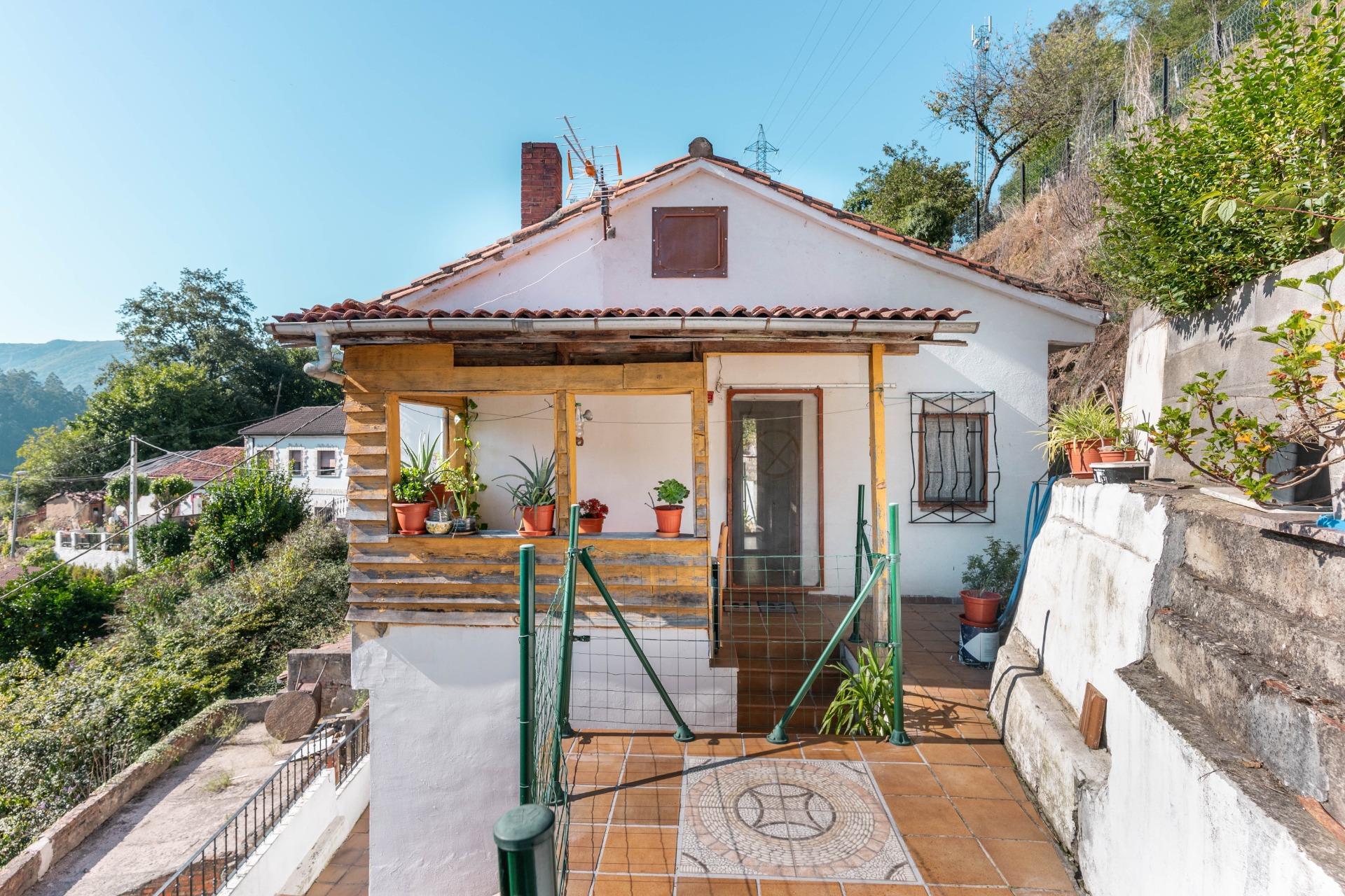 Casas o chalets-Venta-Mieres-2441623