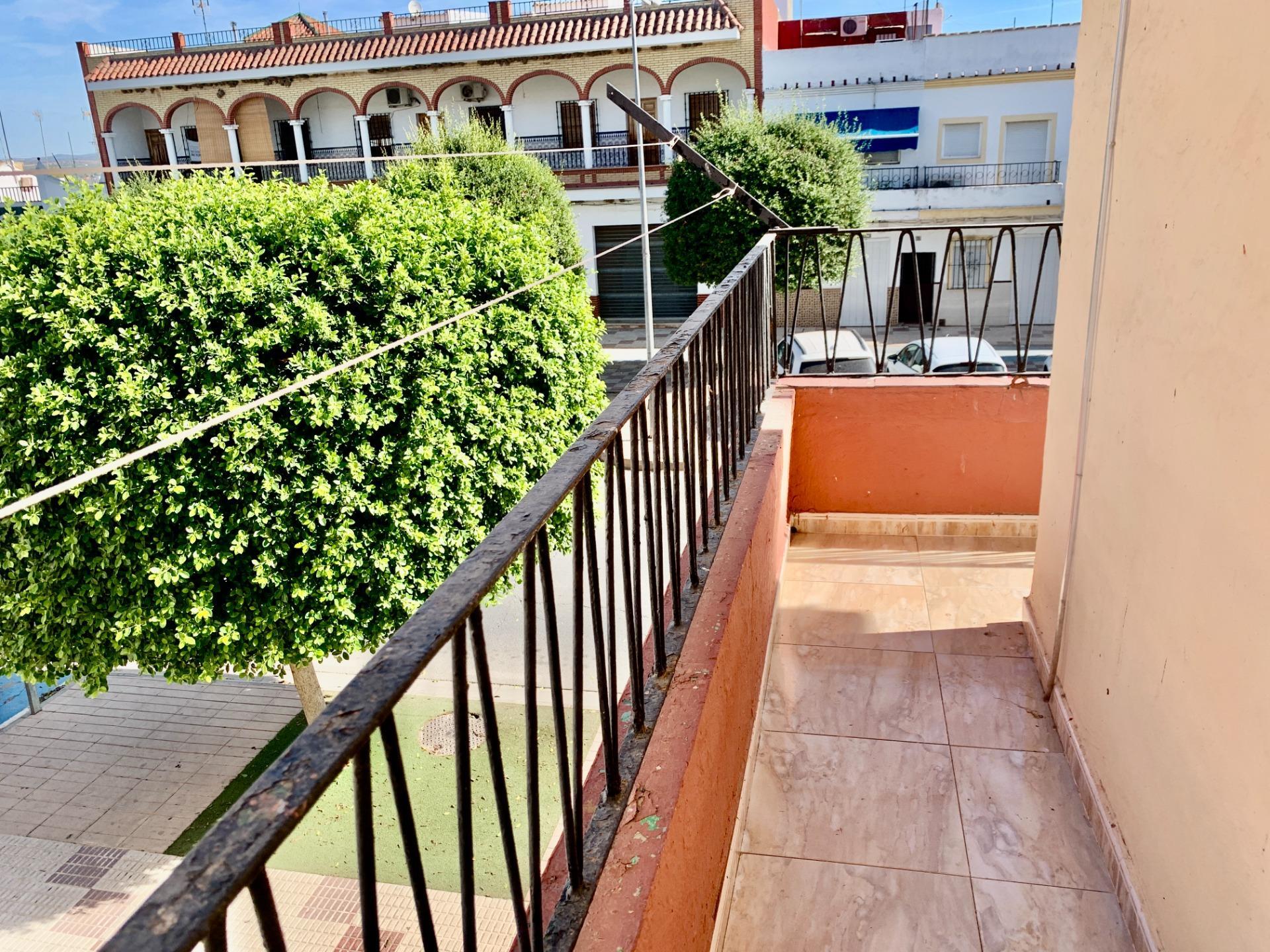 Pisos-Venta-Tocina-2441671-Foto-4