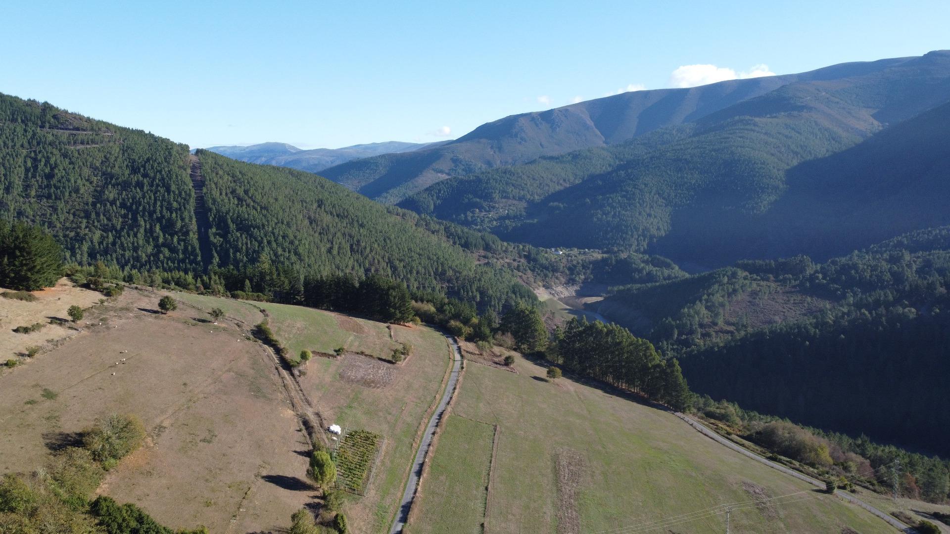 Pisos-Venta-Negueira de MuÃ±iz-2441692-Foto-5