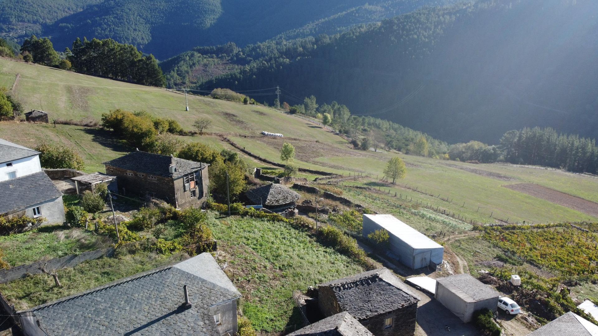 Pisos-Venta-Negueira de MuÃ±iz-2441692-Foto-33