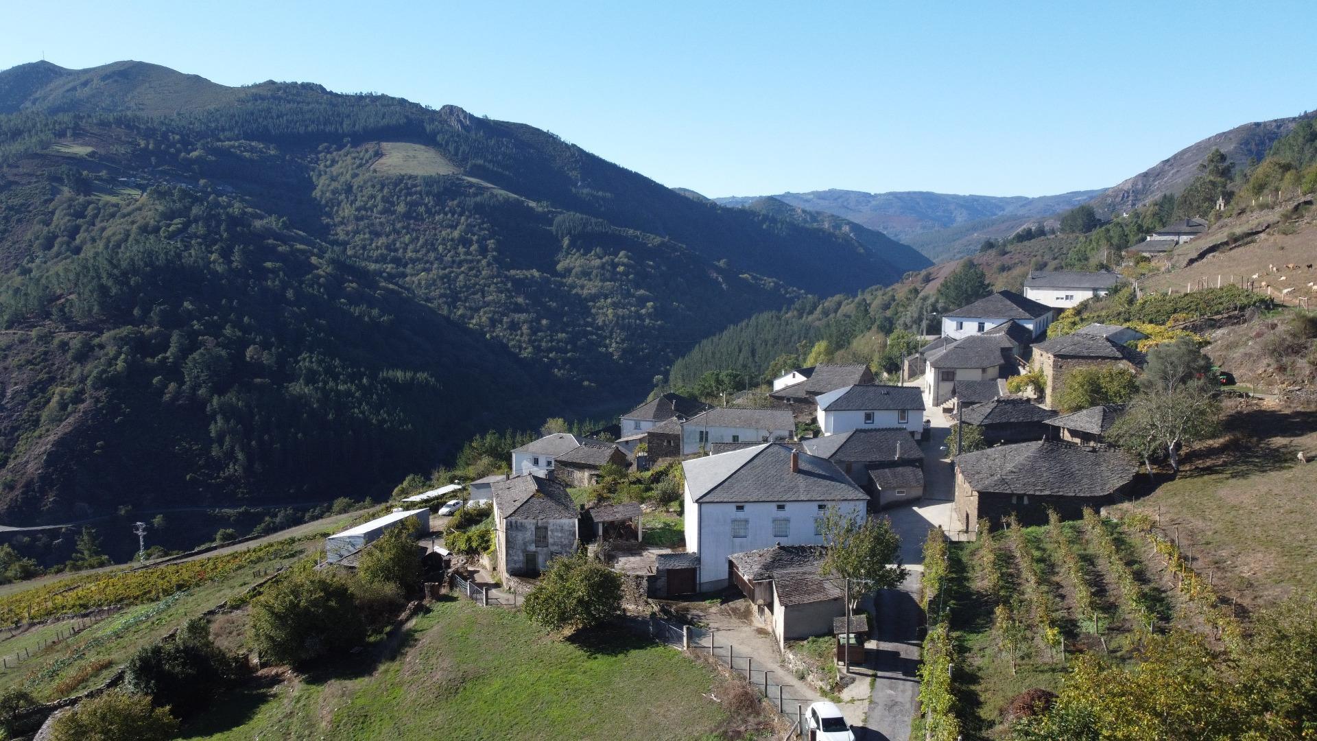 Pisos-Venta-Negueira de MuÃ±iz-2441692-Foto-39