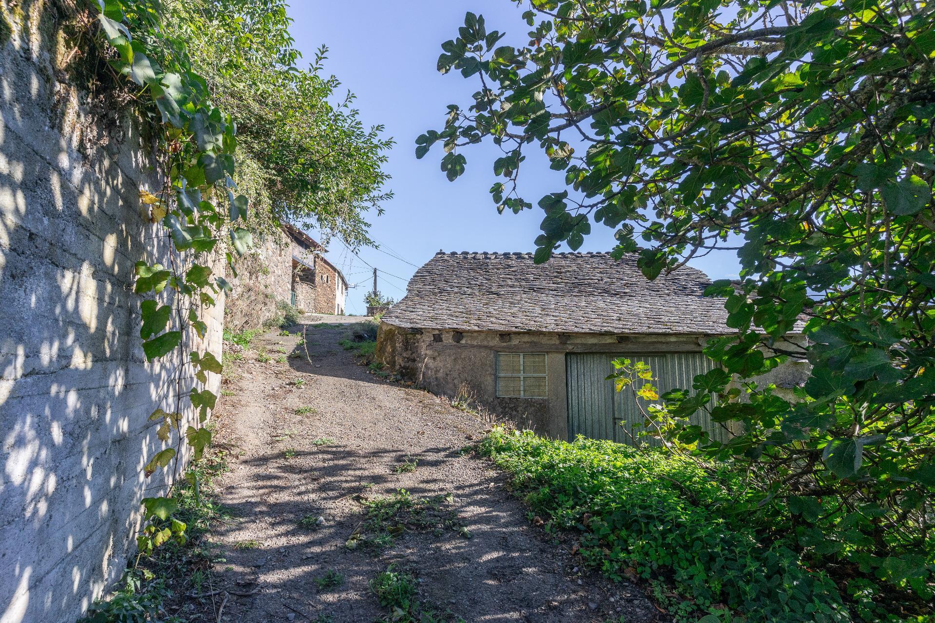 Pisos-Venta-Negueira de MuÃ±iz-2441692-Foto-43