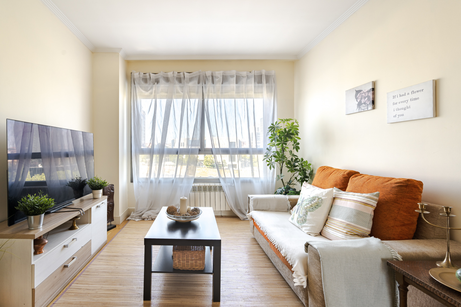 Pisos-Venta-Madrid-2441206-Foto-9