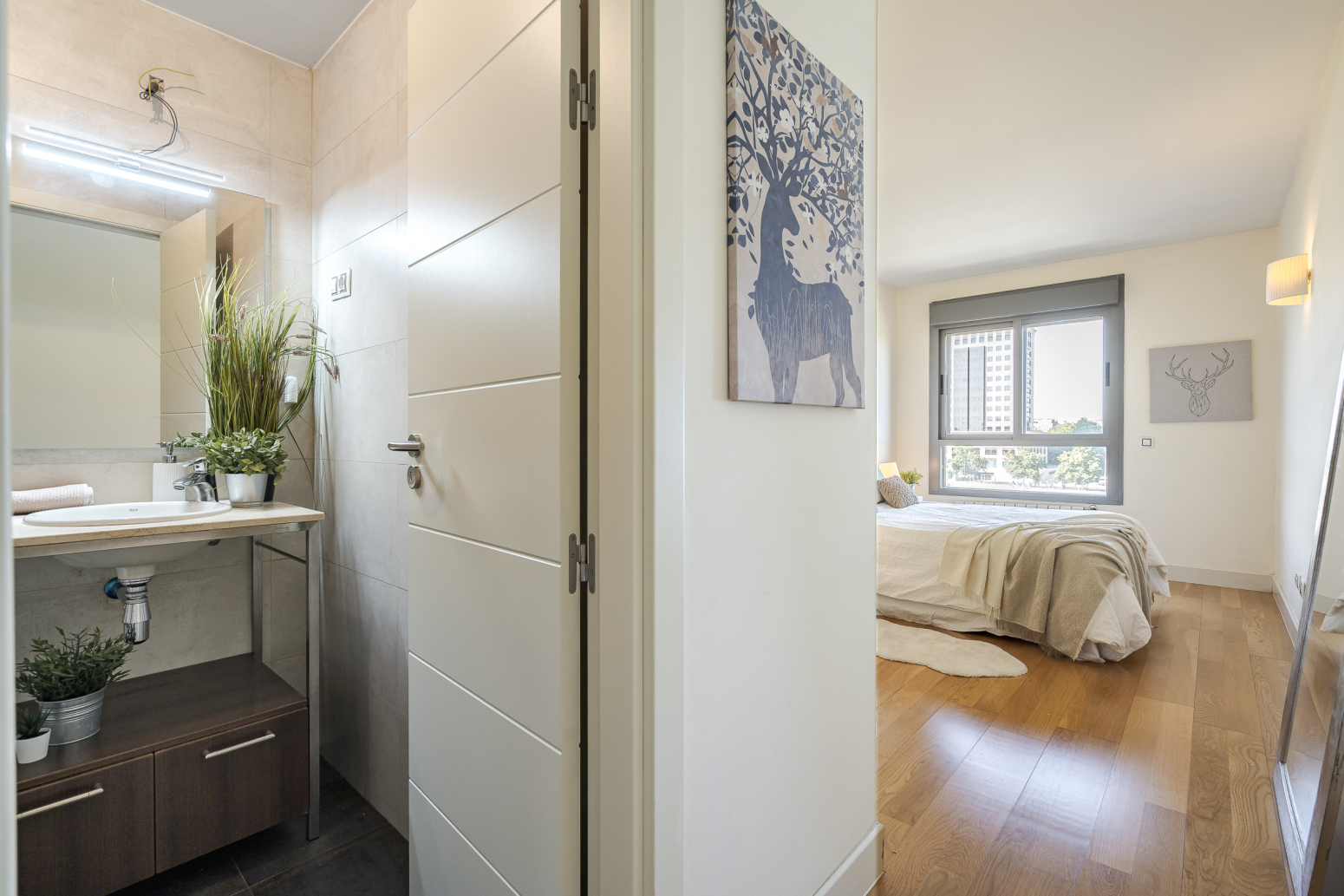 Pisos-Venta-Madrid-2441206-Foto-23