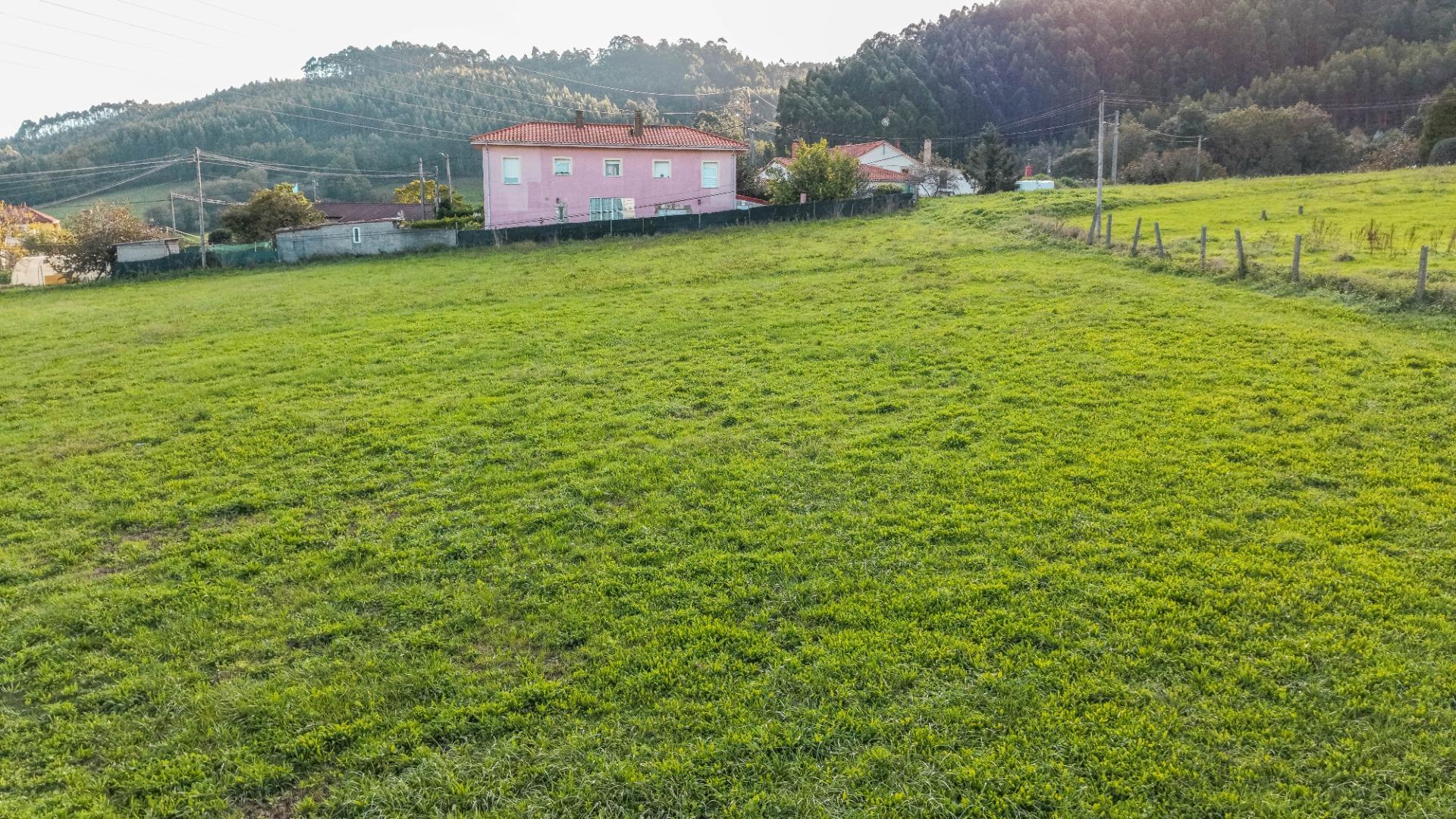 Fincas y solares-Venta-CarreÃ±o-2442032-Foto-12