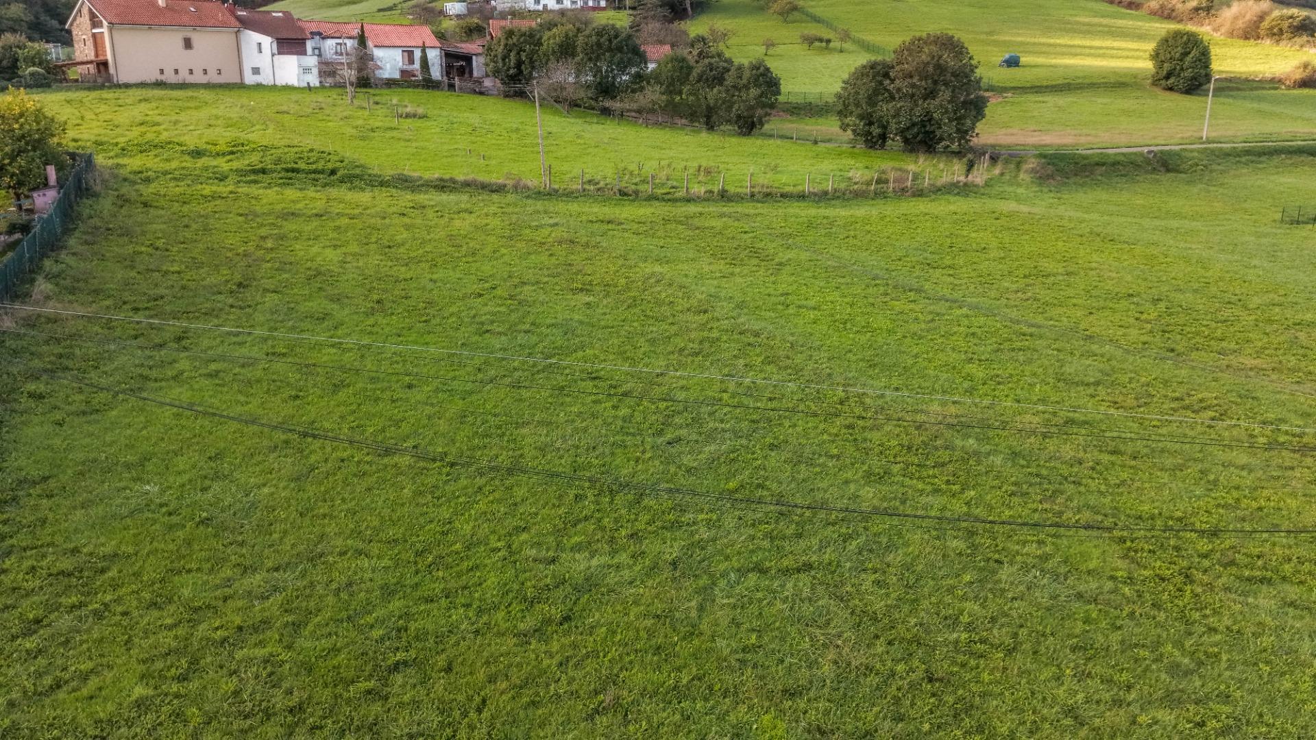 Fincas y solares-Venta-CarreÃ±o-2442032-Foto-23