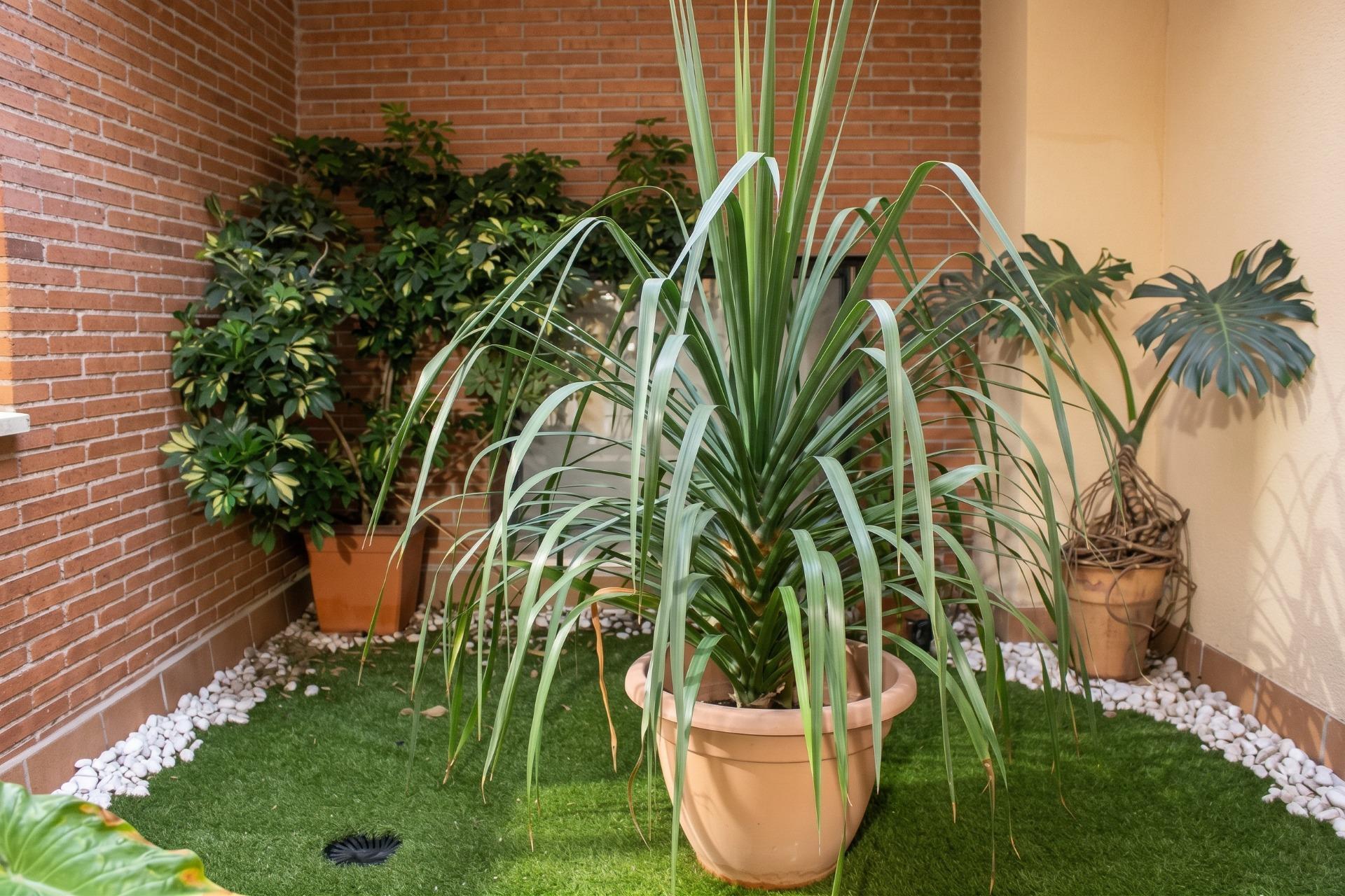 Casas o chalets-Venta-La Selva del Camp-2442062-Foto-18