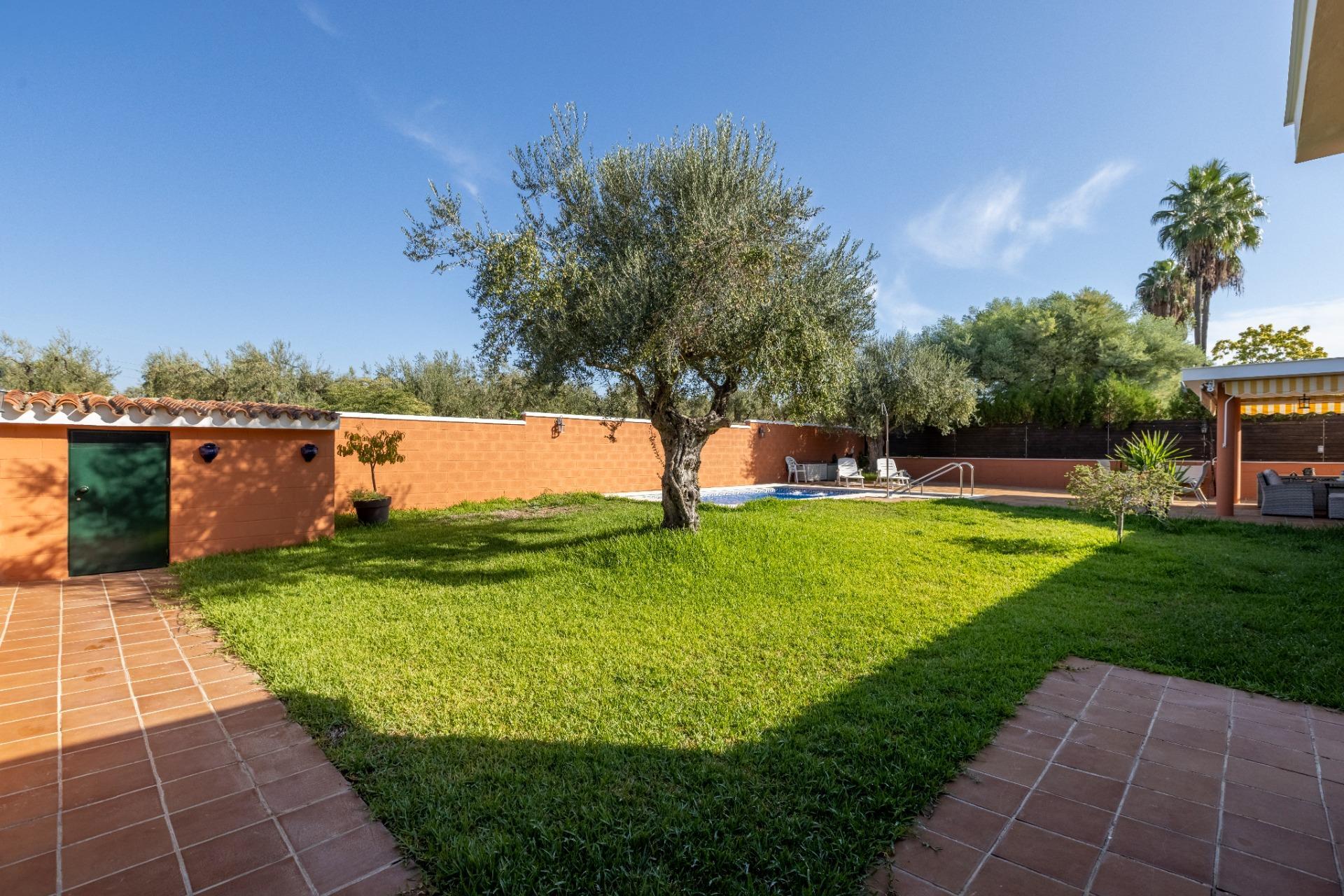 Casas o chalets-Venta-Espartinas-2427991-Foto-33