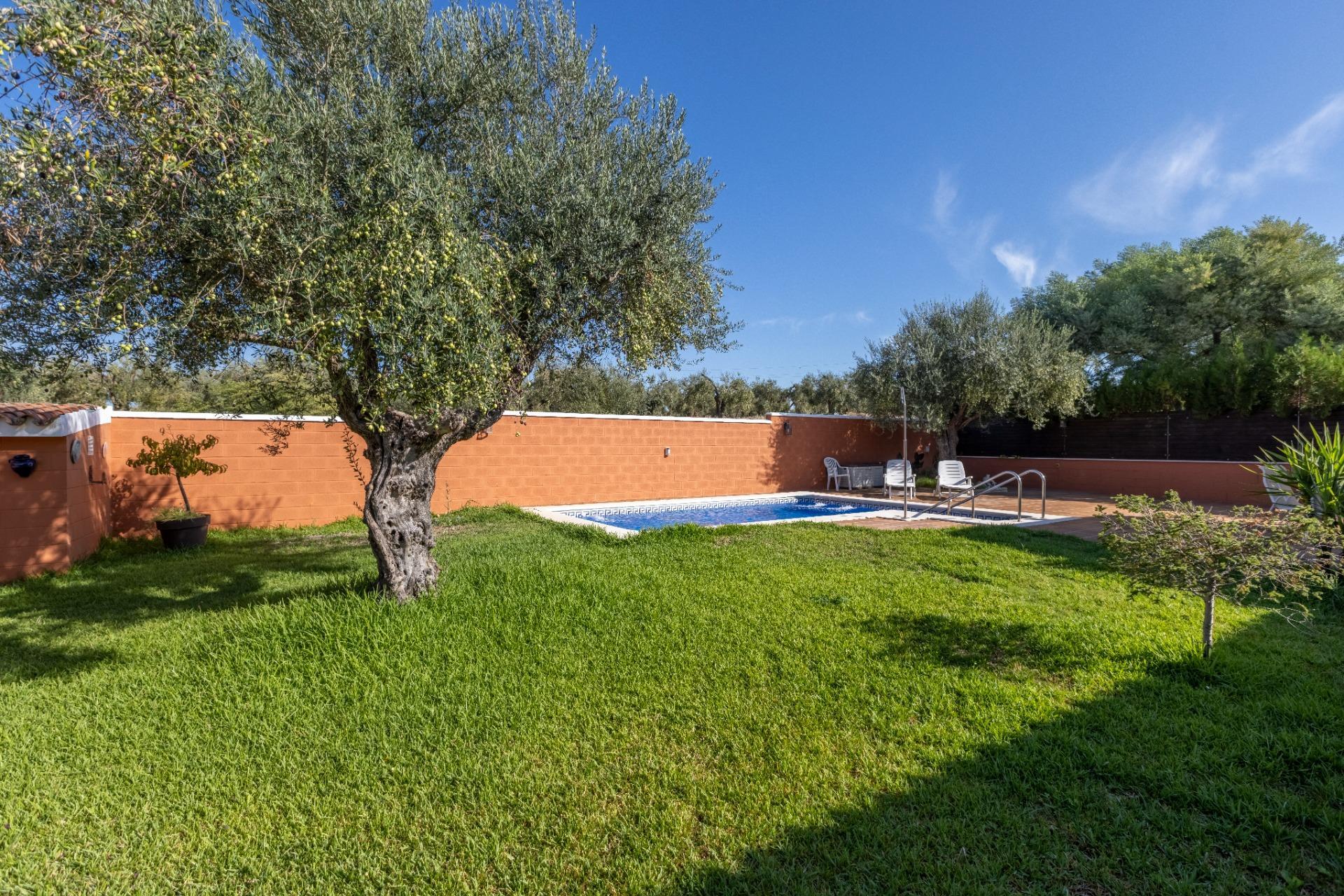 Casas o chalets-Venta-Espartinas-2427991-Foto-34
