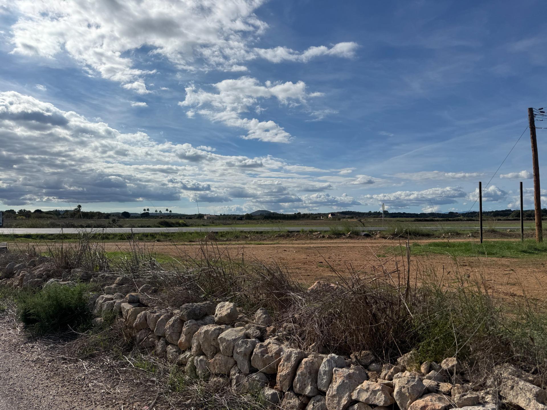 Fincas y solares-Venta-Petra-2443457-Foto-5