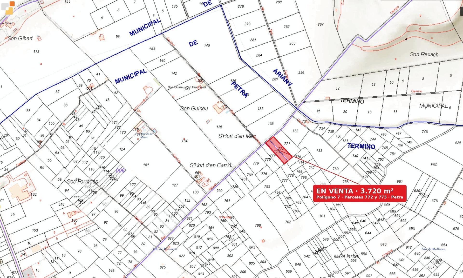 Fincas y solares-Venta-Petra-2443457-Foto-8