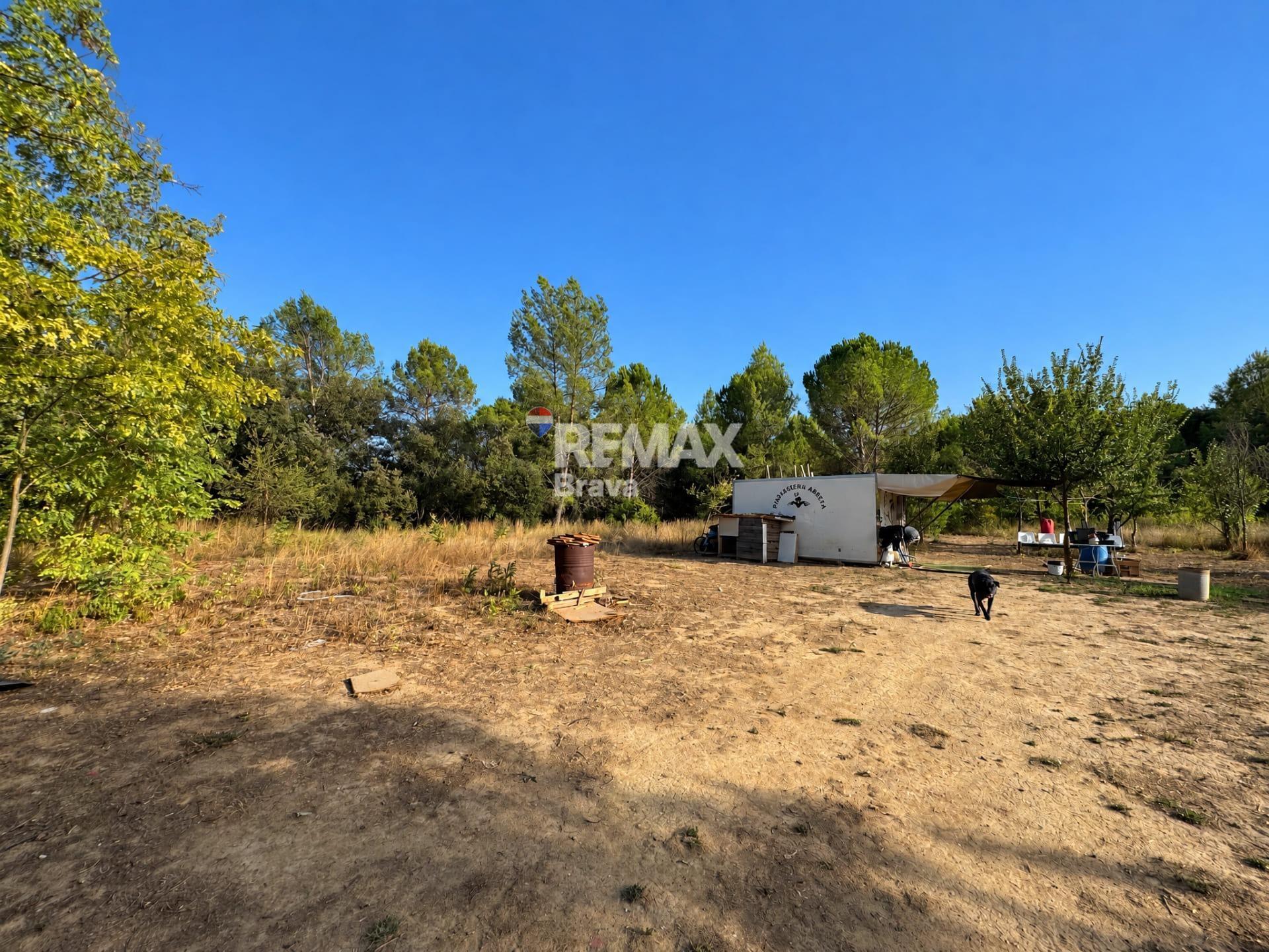 Pisos-Venta-SarriÃ  de Ter-2441224-Foto-4