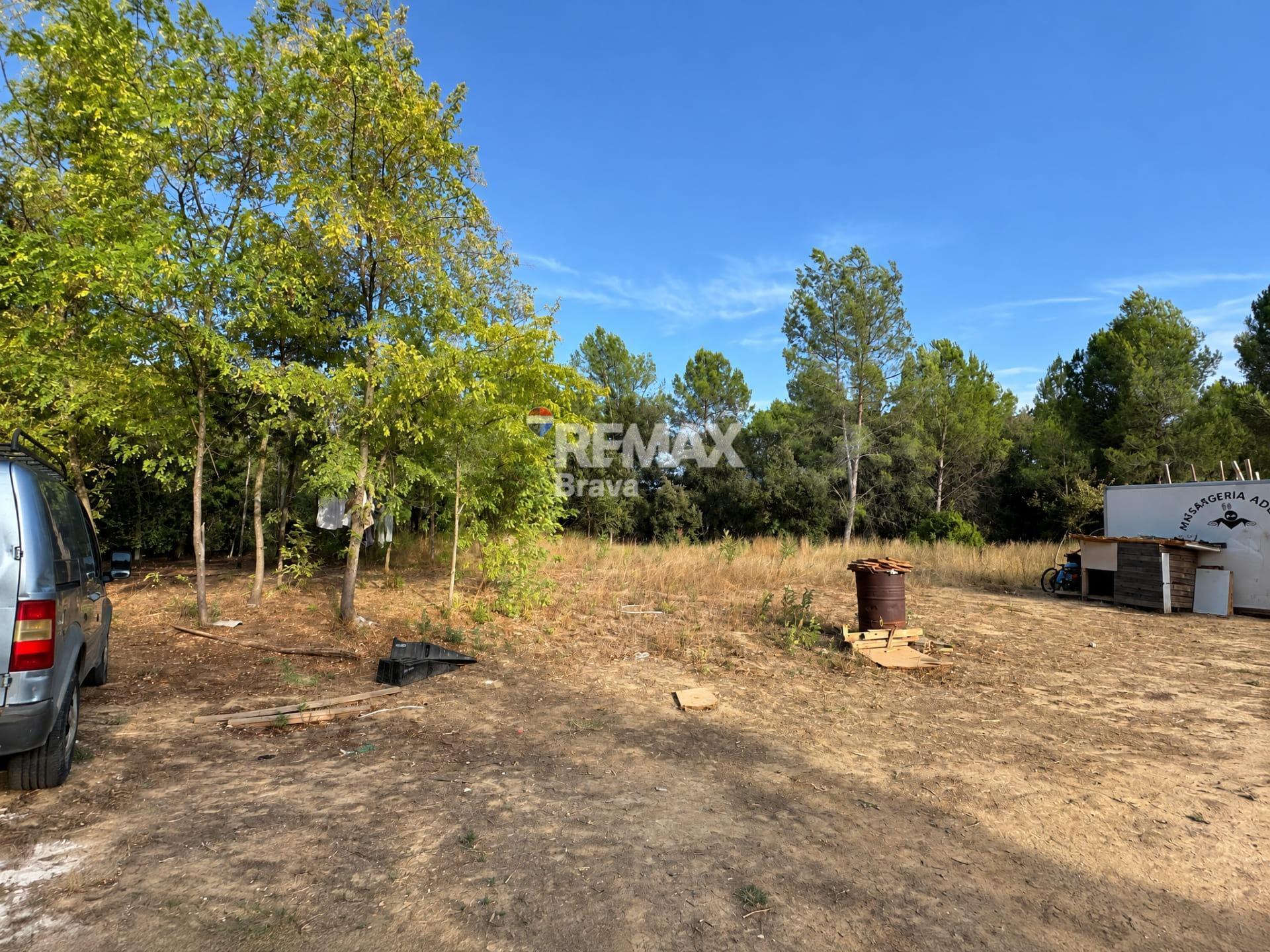 Pisos-Venta-SarriÃ  de Ter-2441224-Foto-6