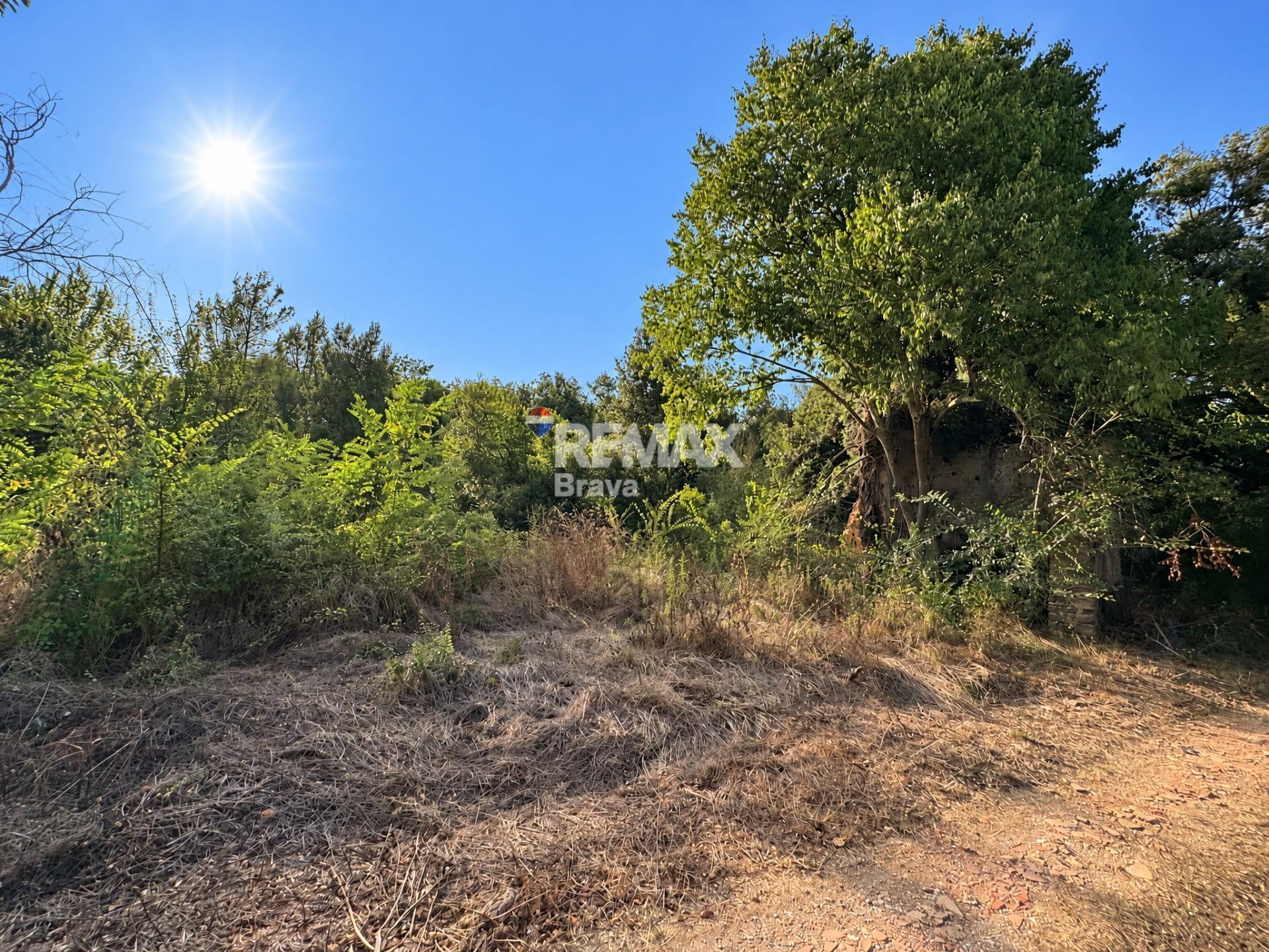 Pisos-Venta-SarriÃ  de Ter-2441224-Foto-11
