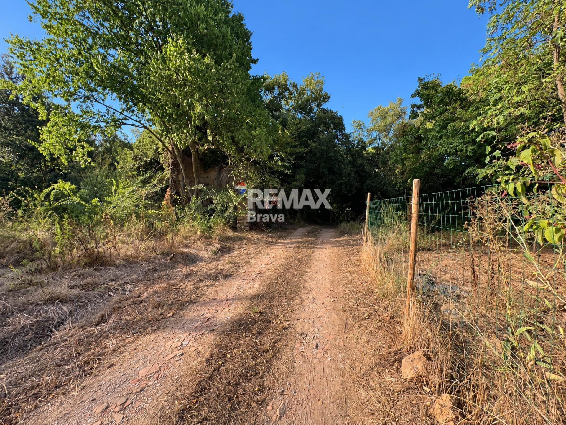Pisos-Venta-SarriÃ  de Ter-2441224-Foto-10