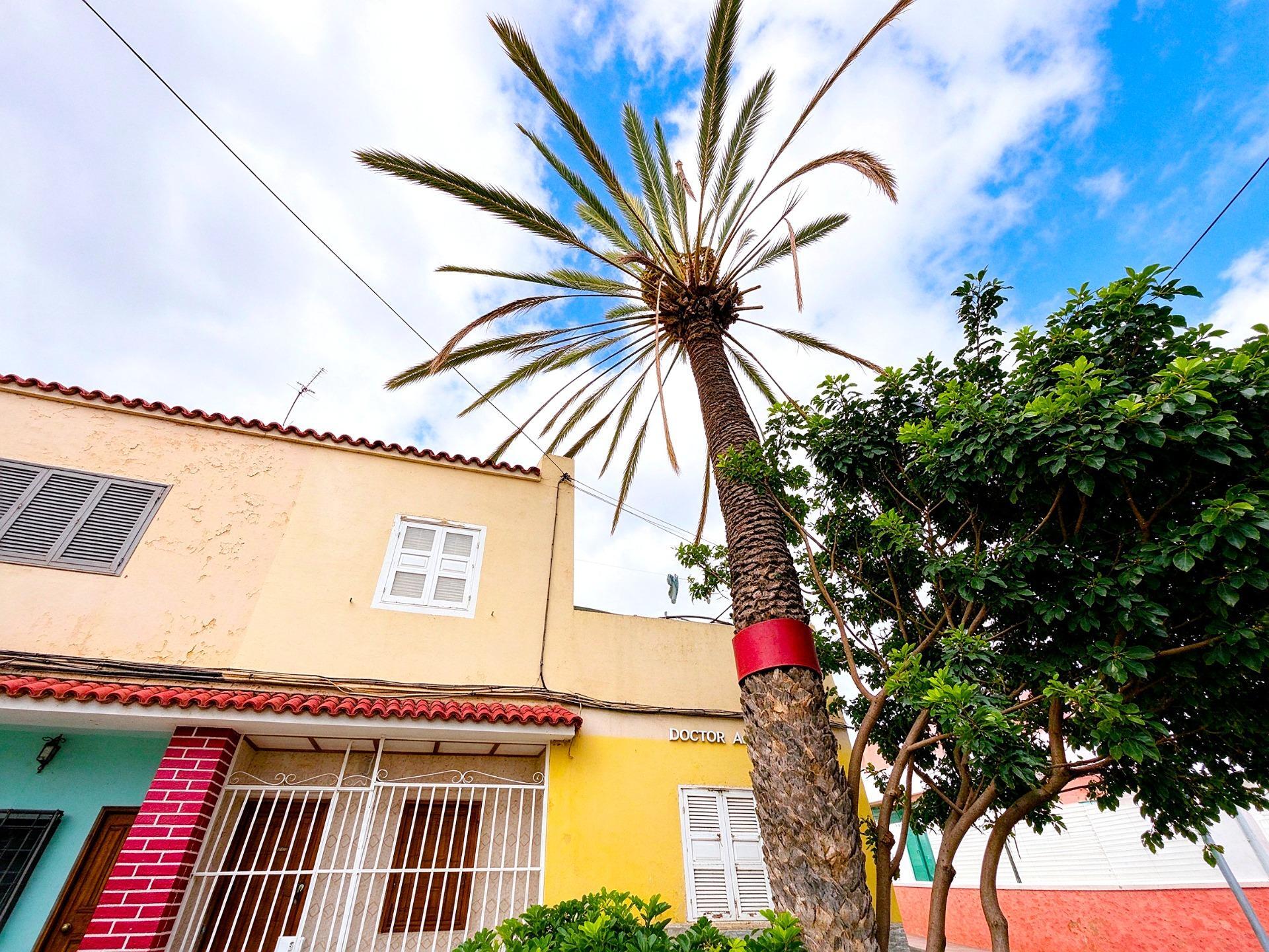 Casas o chalets-Venta-Las Palmas de Gran Canaria-2443823-Foto-2