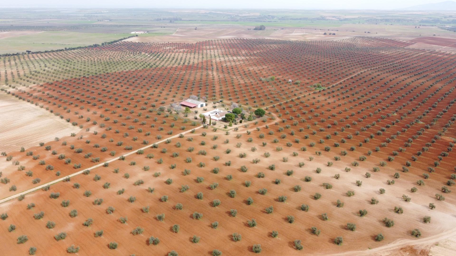 Fincas y solares-Venta-Solana de los Barros-1746748