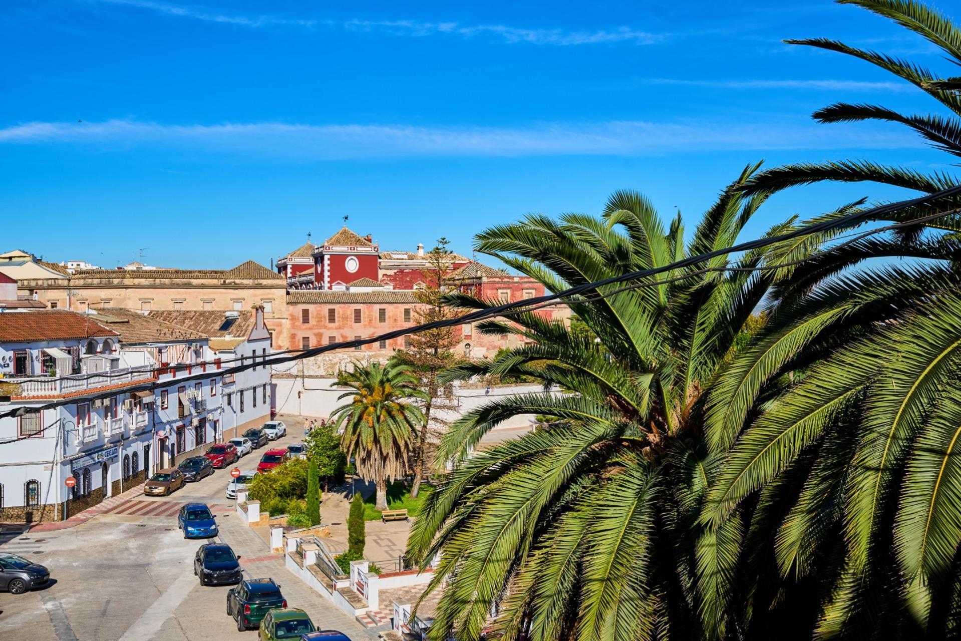 Casas o chalets-Venta-Fernan - NuÃ±ez-2442640-Foto-34
