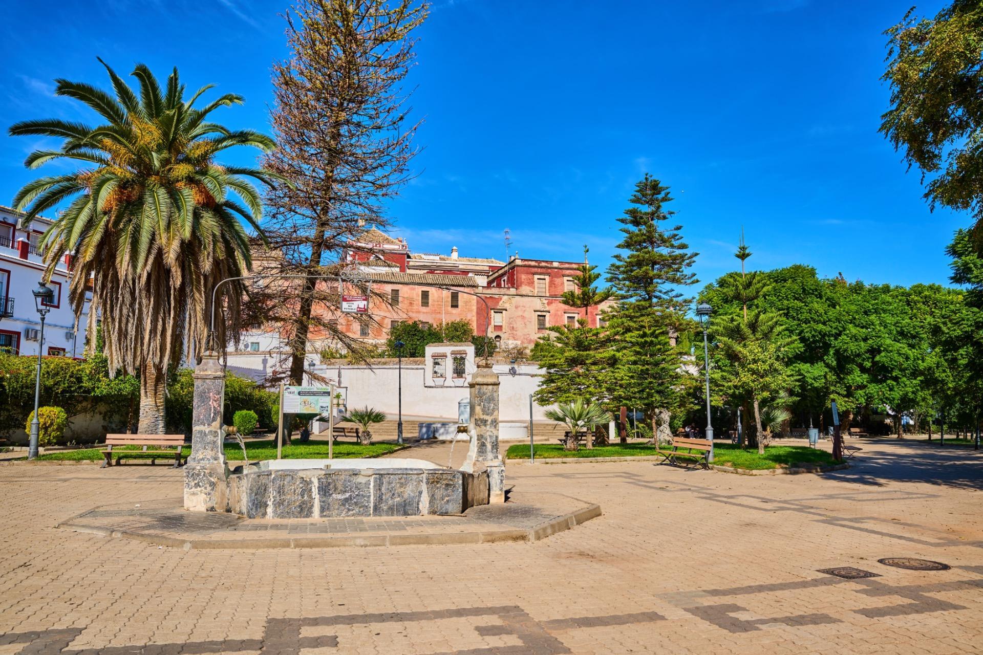 Casas o chalets-Venta-Fernan - NuÃ±ez-2442640-Foto-37