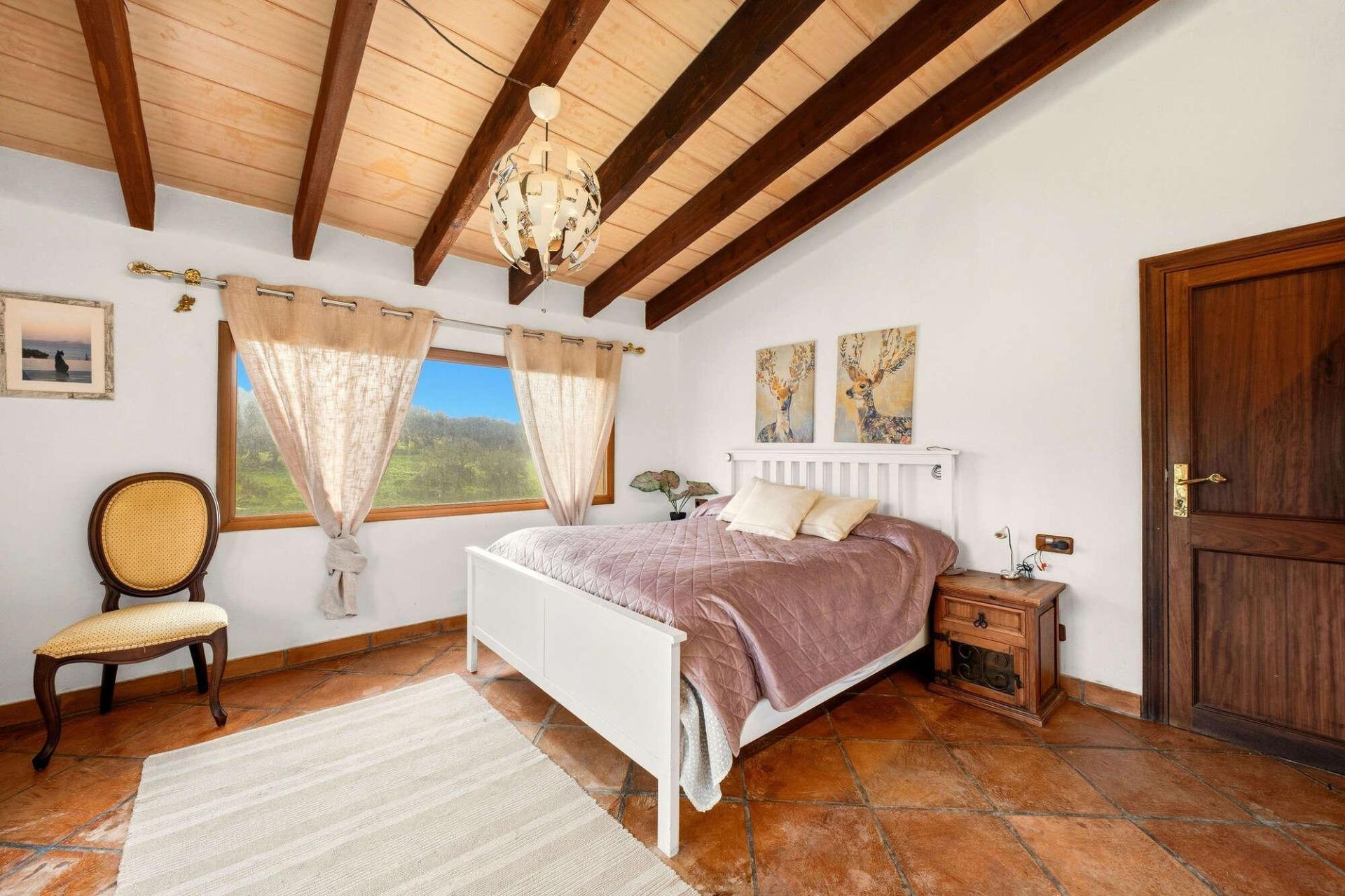 Pisos-Venta-LlubÃ­-2412149-Foto-71