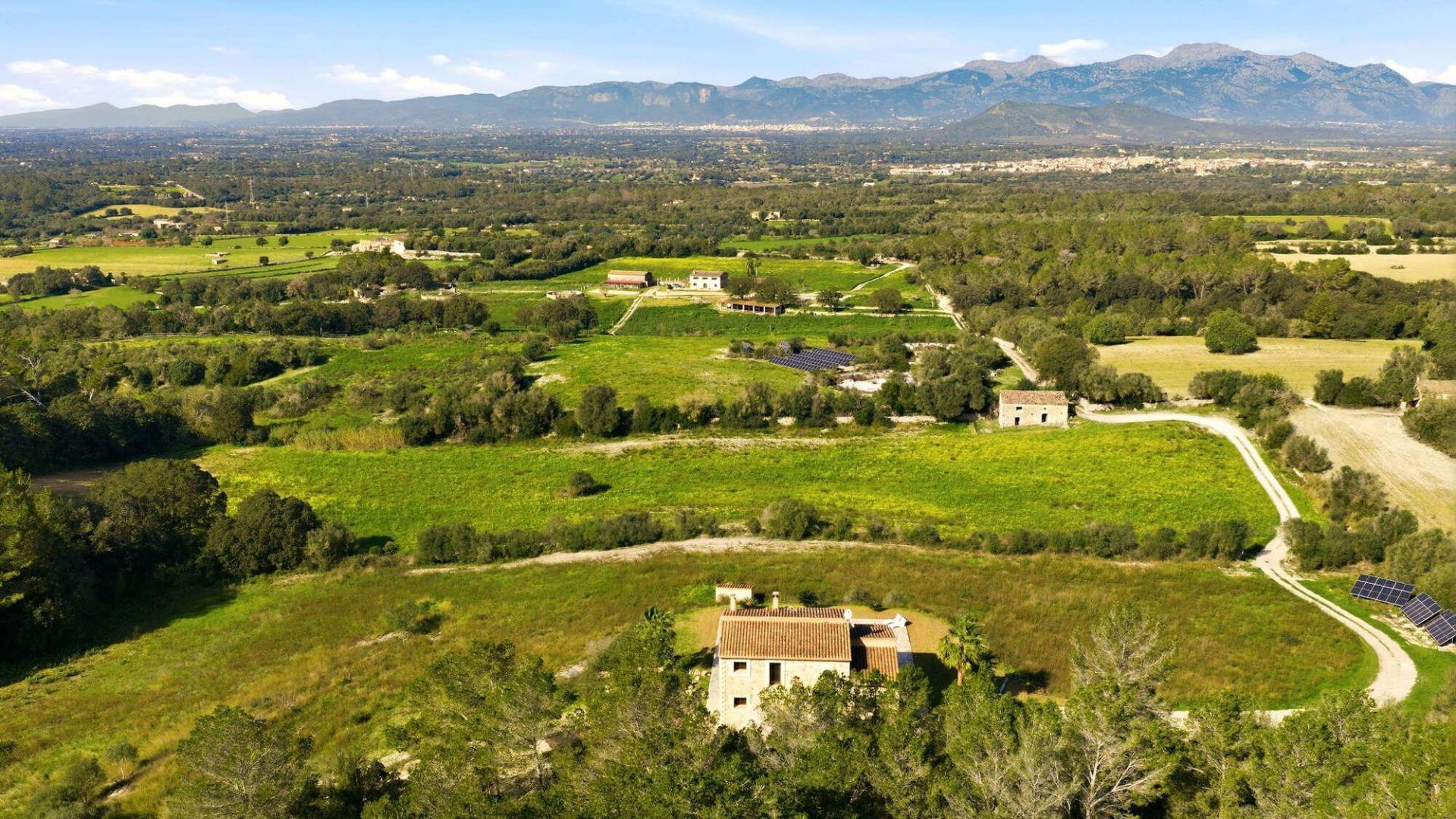 Pisos-Venta-LlubÃ­-2414291-Foto-35