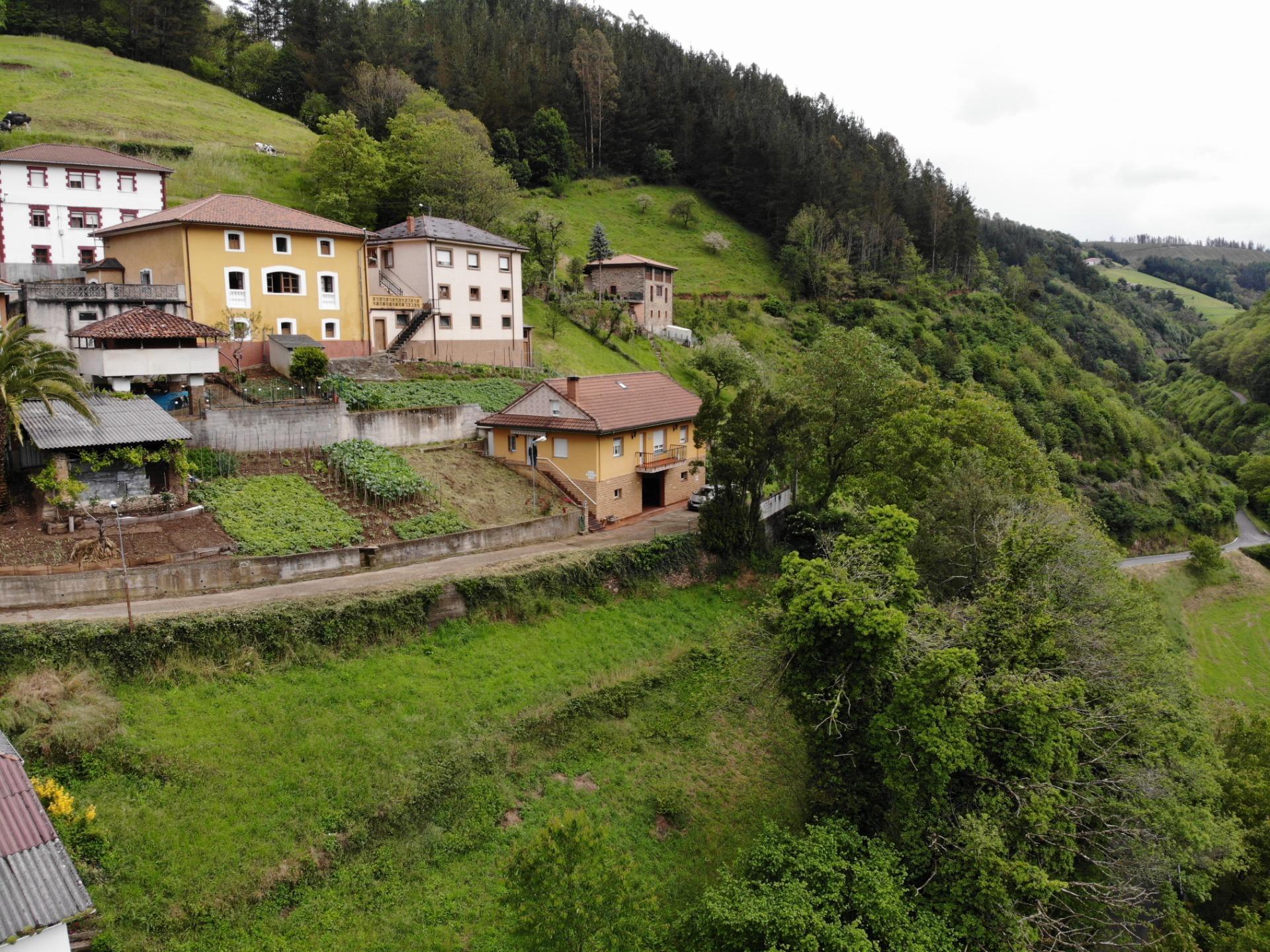 Casas o chalets-Venta-Tineo-1101887