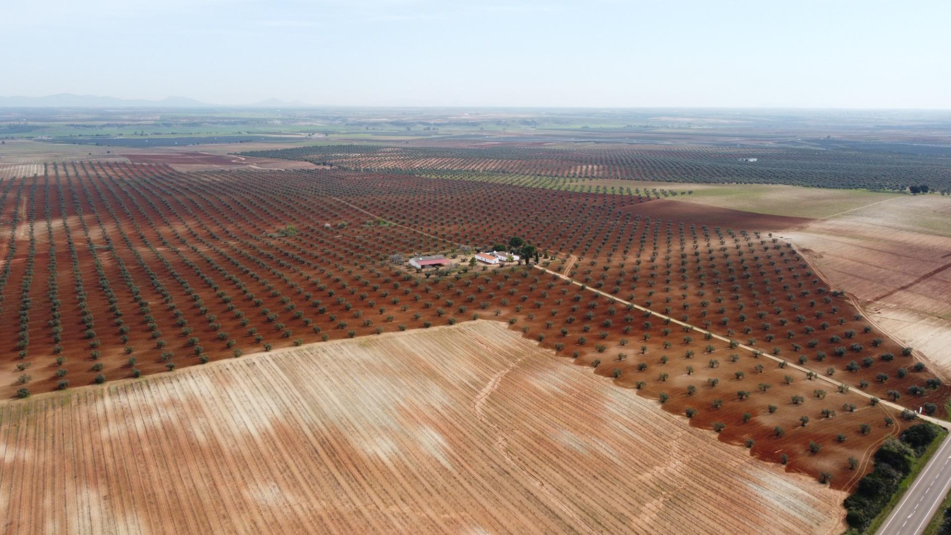 Fincas y solares-Venta-Solana de los Barros-1746748