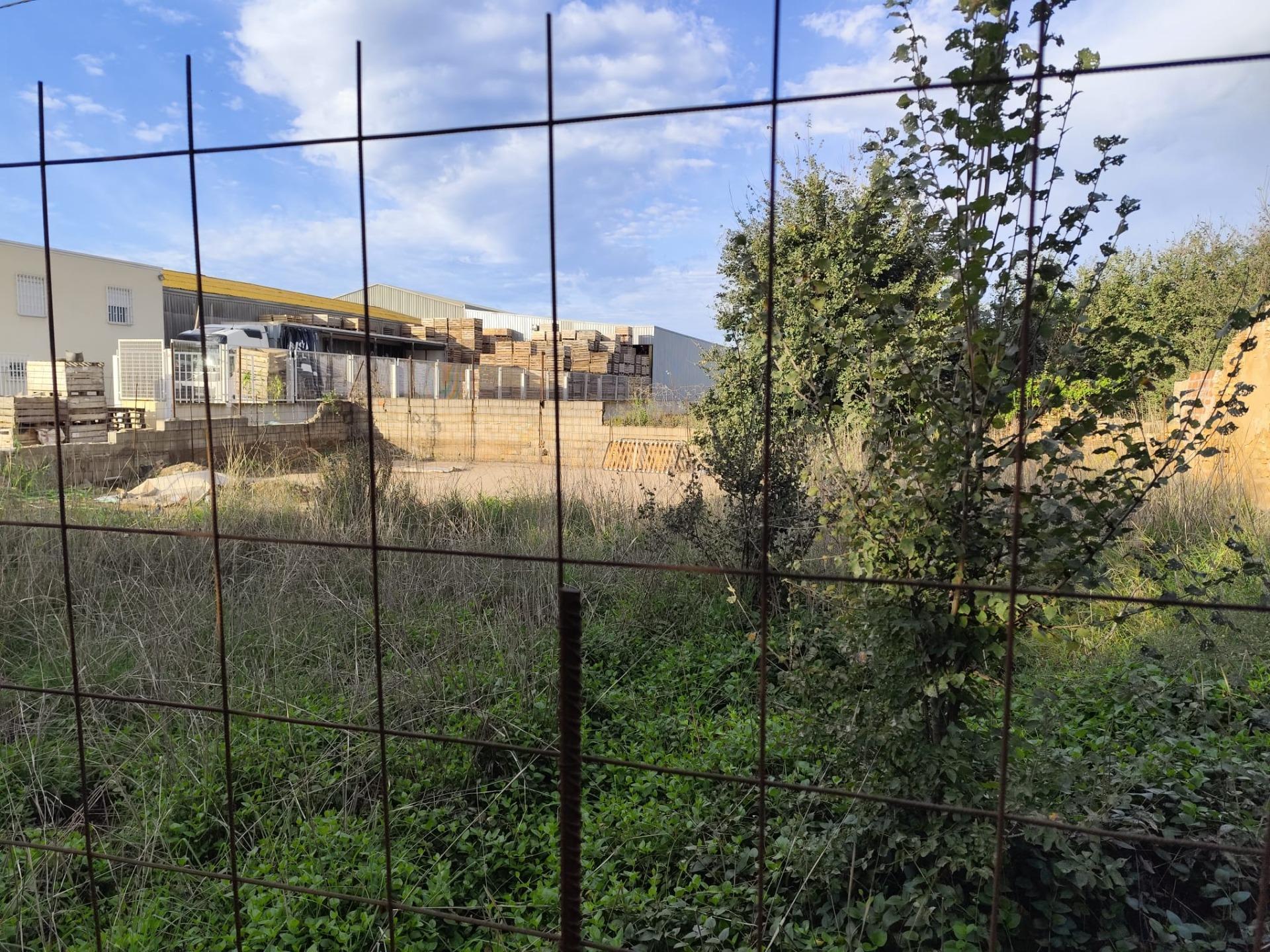 Fincas y solares-Venta-Valencia-2443445-Foto-13