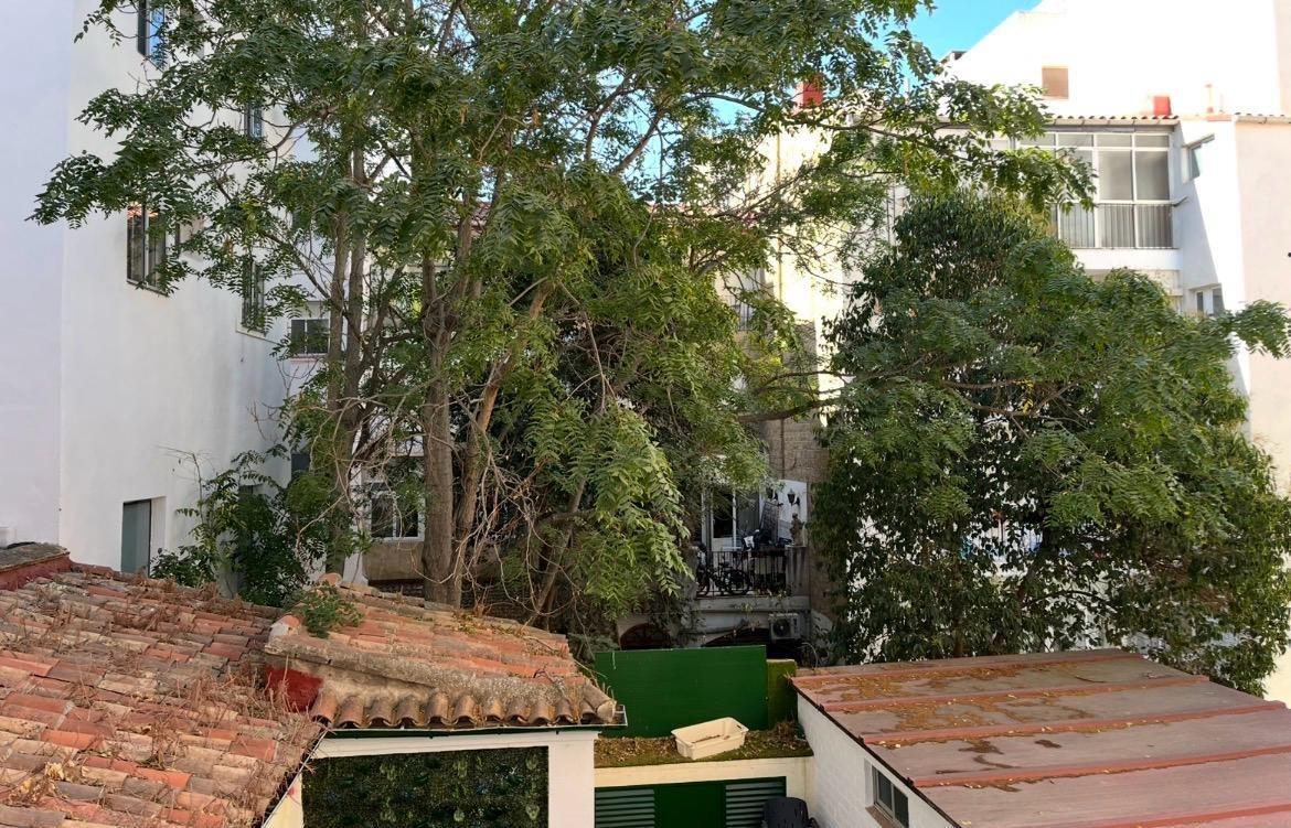 Pisos-Venta-Zaragoza-2440392-Foto-20