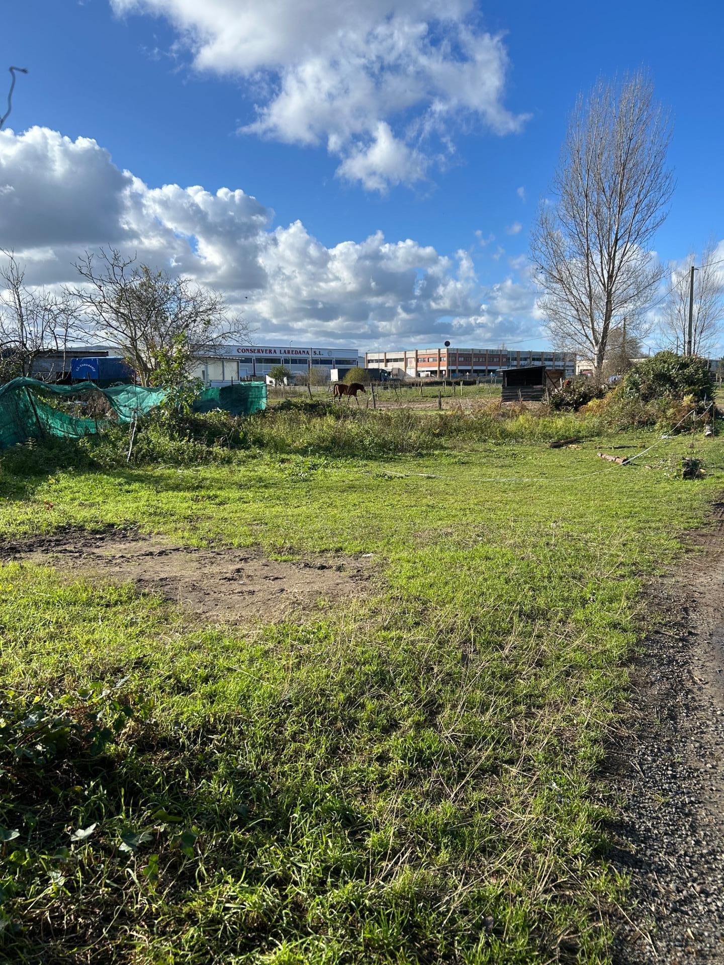 Fincas y solares-Venta-Laredo-2443466-Foto-4