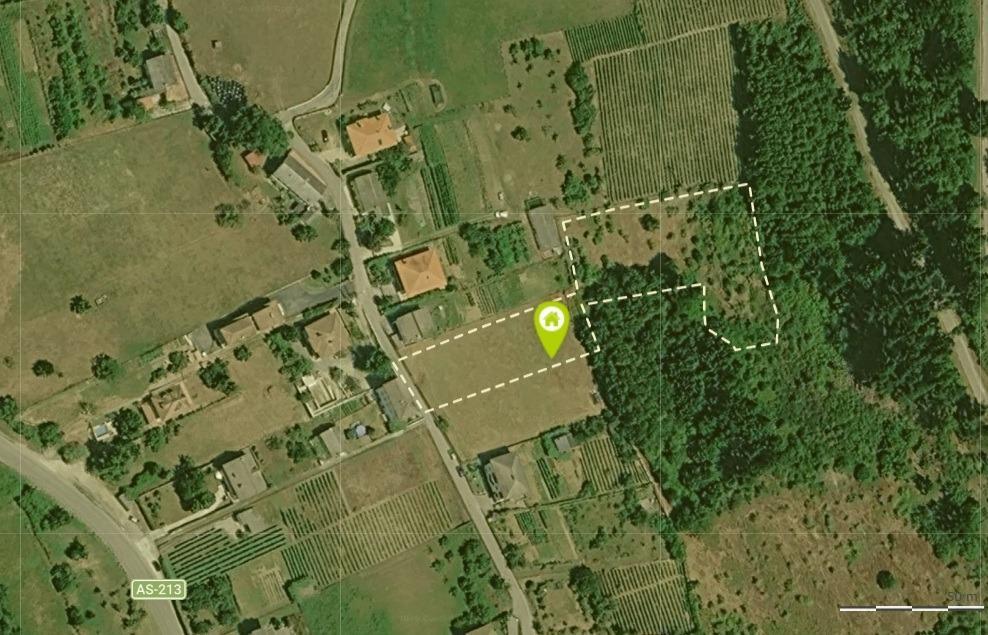 Fincas y solares-Venta-Cangas del Narcea-2443472-Foto-2