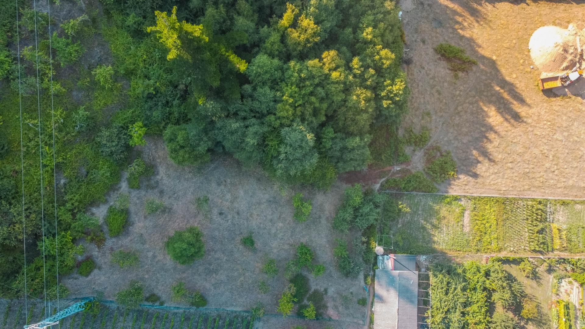 Fincas y solares-Venta-Cangas del Narcea-2443472-Foto-18