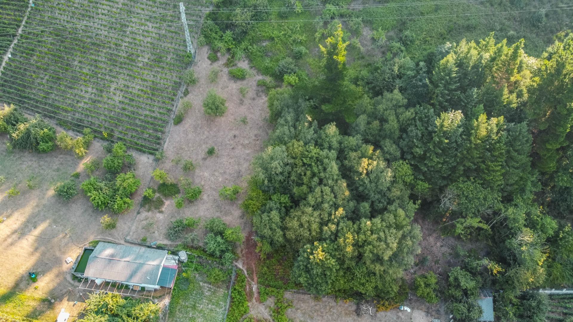 Fincas y solares-Venta-Cangas del Narcea-2443472-Foto-22