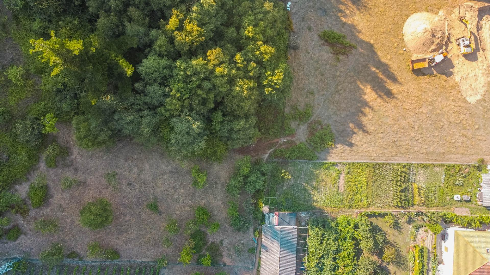 Fincas y solares-Venta-Cangas del Narcea-2443472-Foto-17