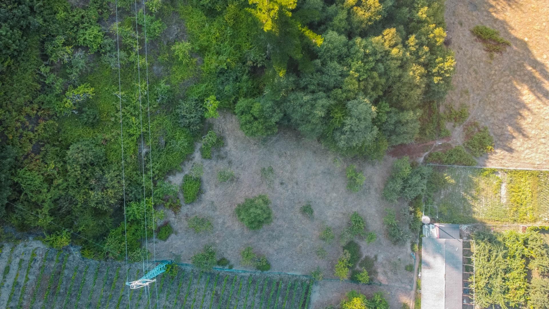 Fincas y solares-Venta-Cangas del Narcea-2443472-Foto-36