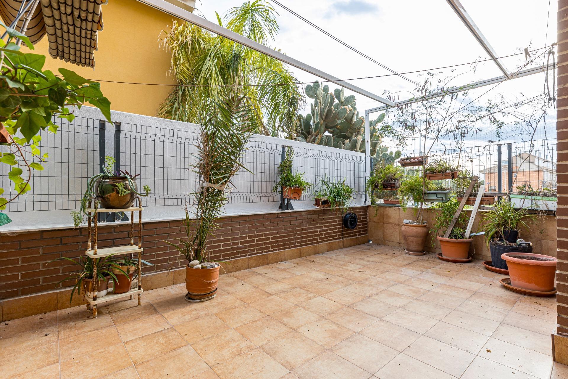Casas o chalets-Venta-Murcia-2442355-Foto-5