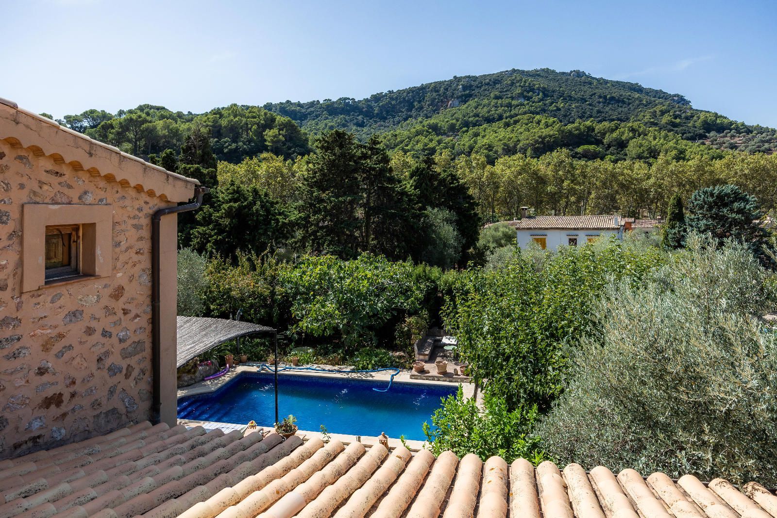 Casas o chalets-Venta-Valldemossa-2426812-Foto-15