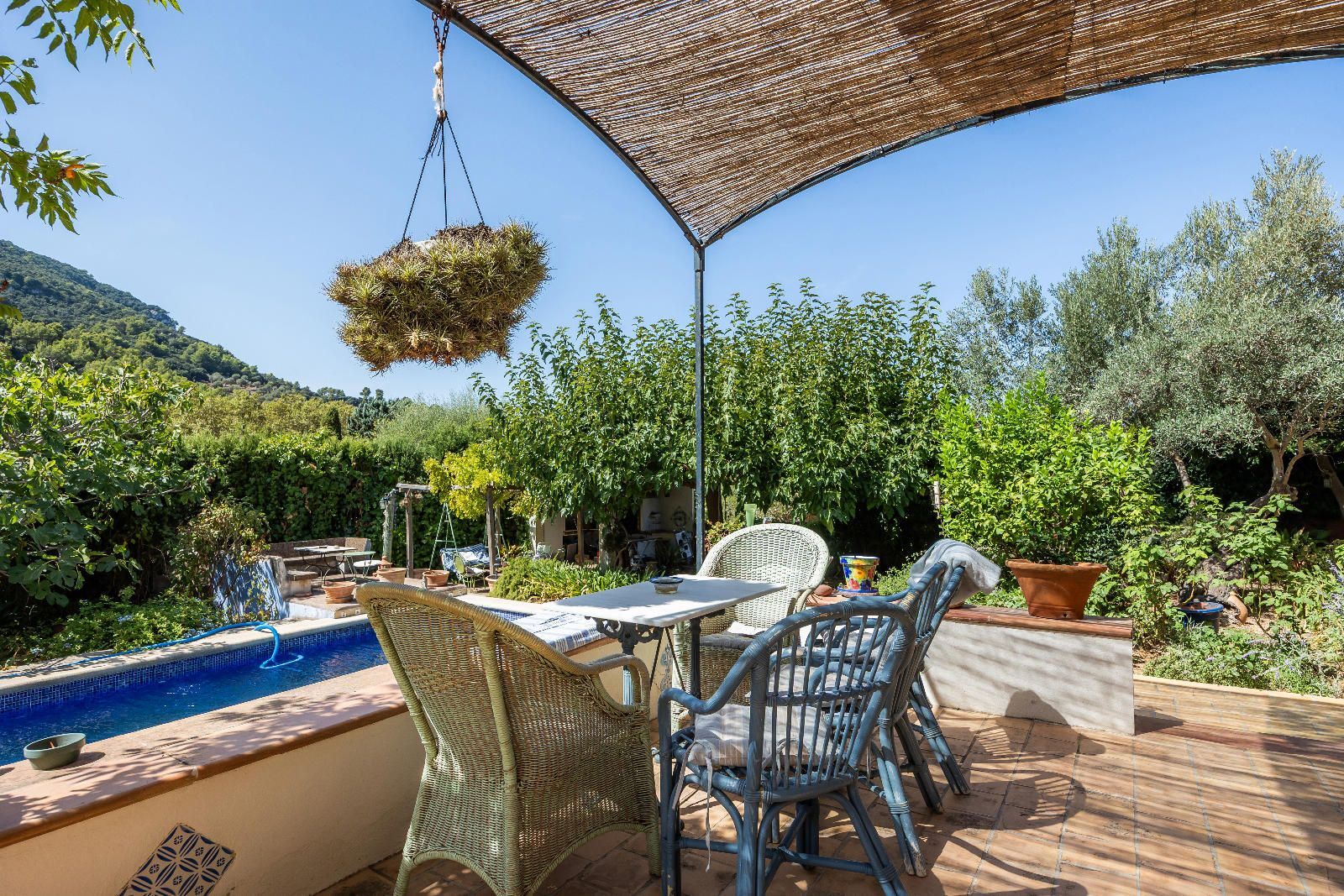Casas o chalets-Venta-Valldemossa-2426812-Foto-27