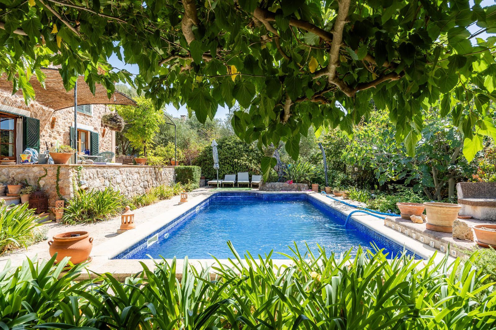 Casas o chalets-Venta-Valldemossa-2426812-Foto-34