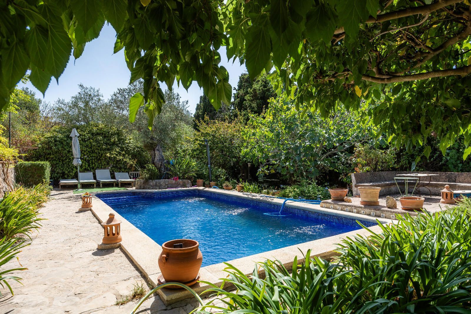Casas o chalets-Venta-Valldemossa-2426812-Foto-35