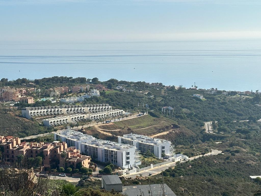 Fincas y solares-Venta-San Roque-2444116-Foto-3