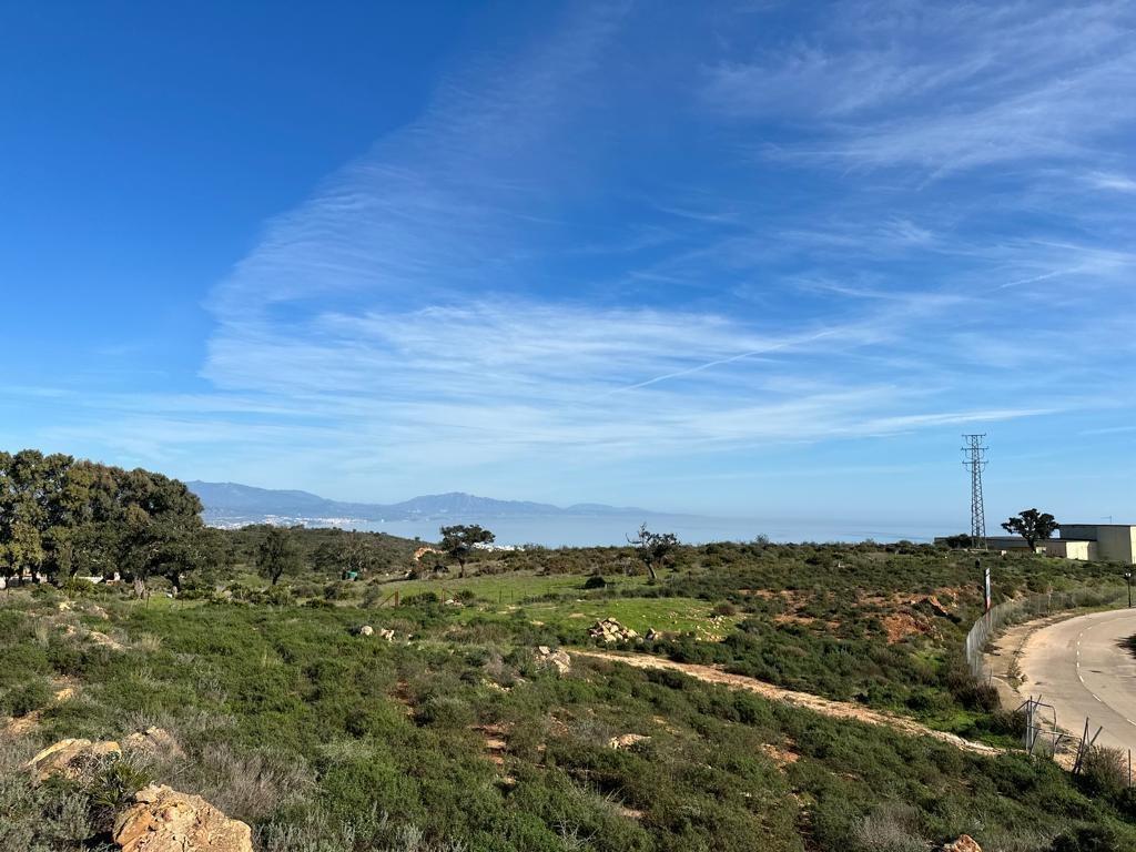 Fincas y solares-Venta-San Roque-2444116-Foto-8