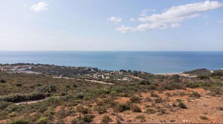 Fincas y solares-Venta-San Roque-2444116-Foto-6